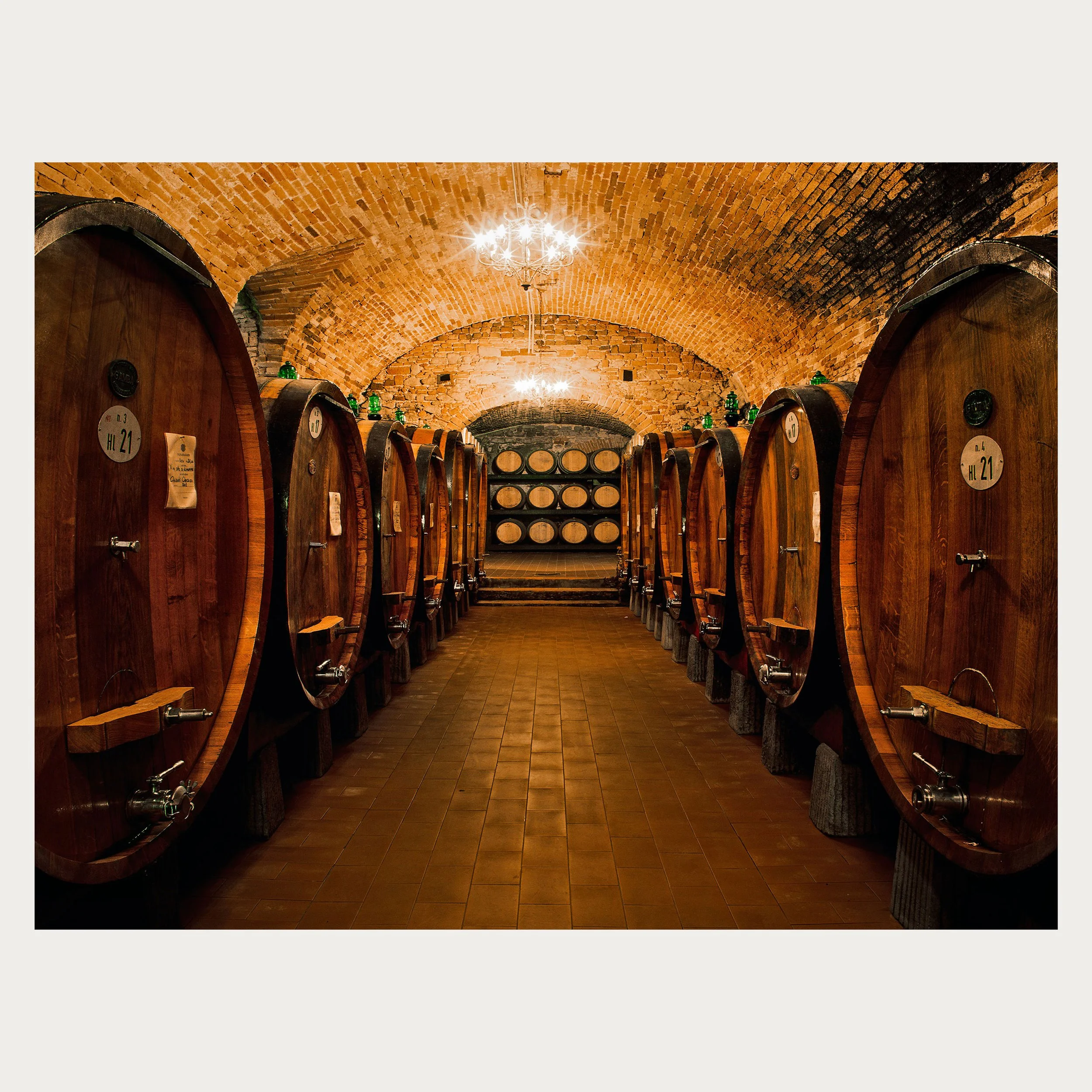 20235---Vignamaggio-Cellar-(PL).jpg1.jpg