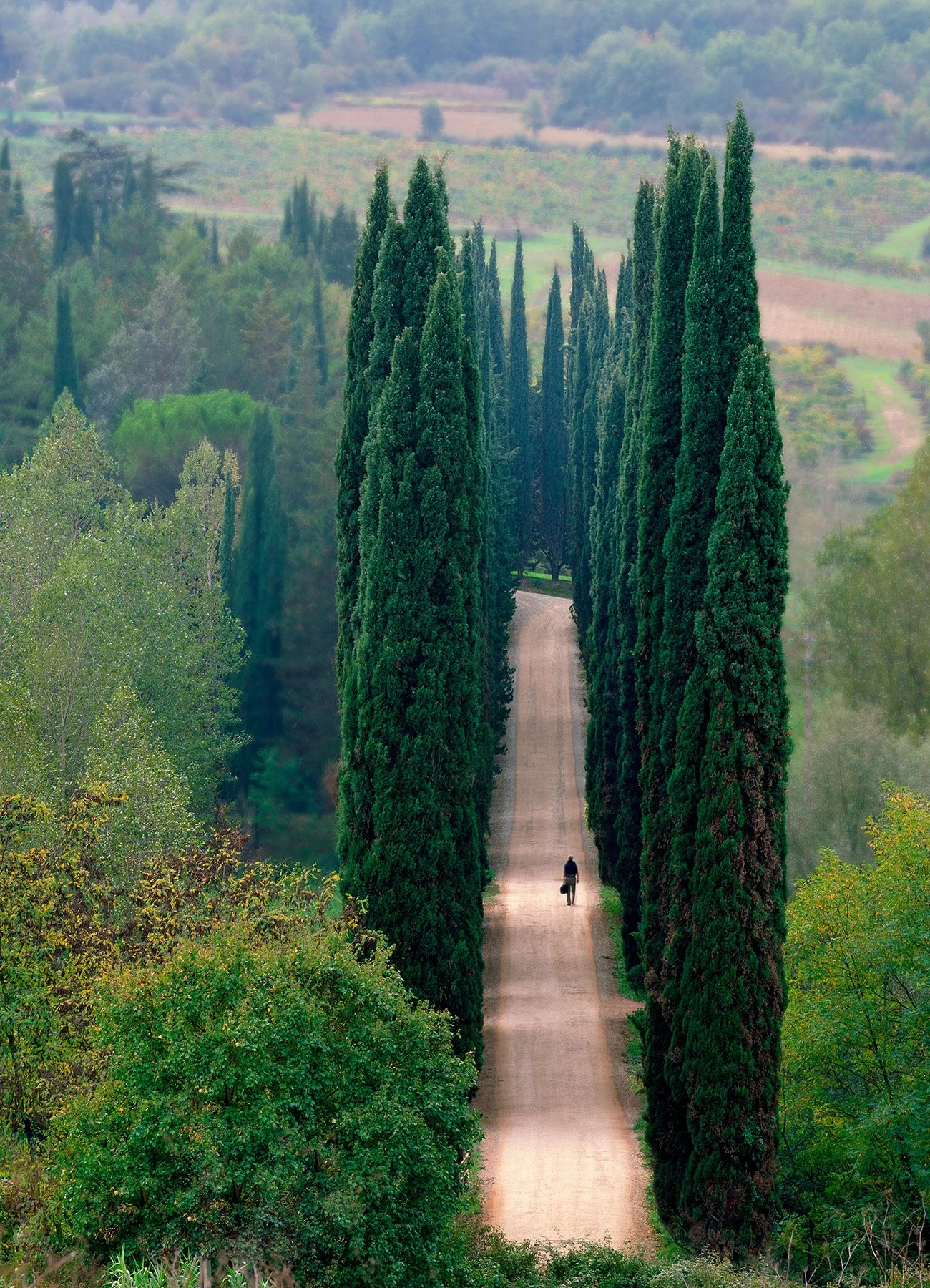 20249 The Journey (PL) WEB.jpg