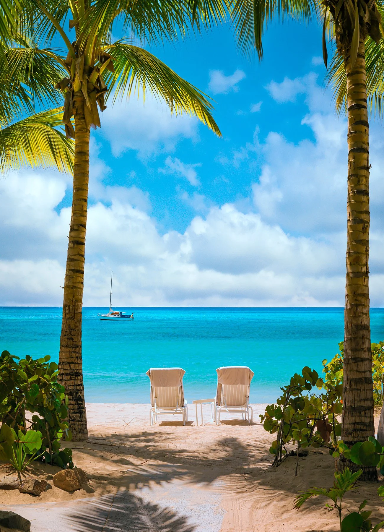 20599 Life's A Beach (PL) WEB.jpg