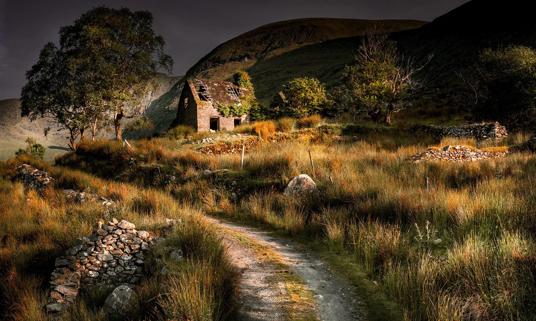 20543 A Time Past (TP) WEB.jpg