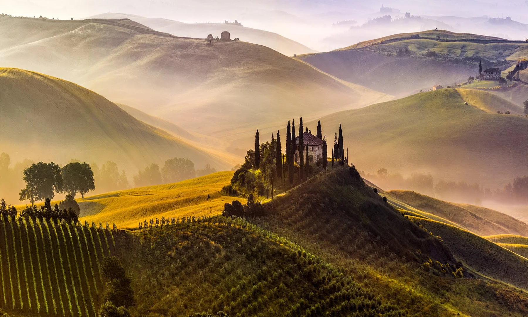 20354 Light's Domain (TP) WEB.jpg