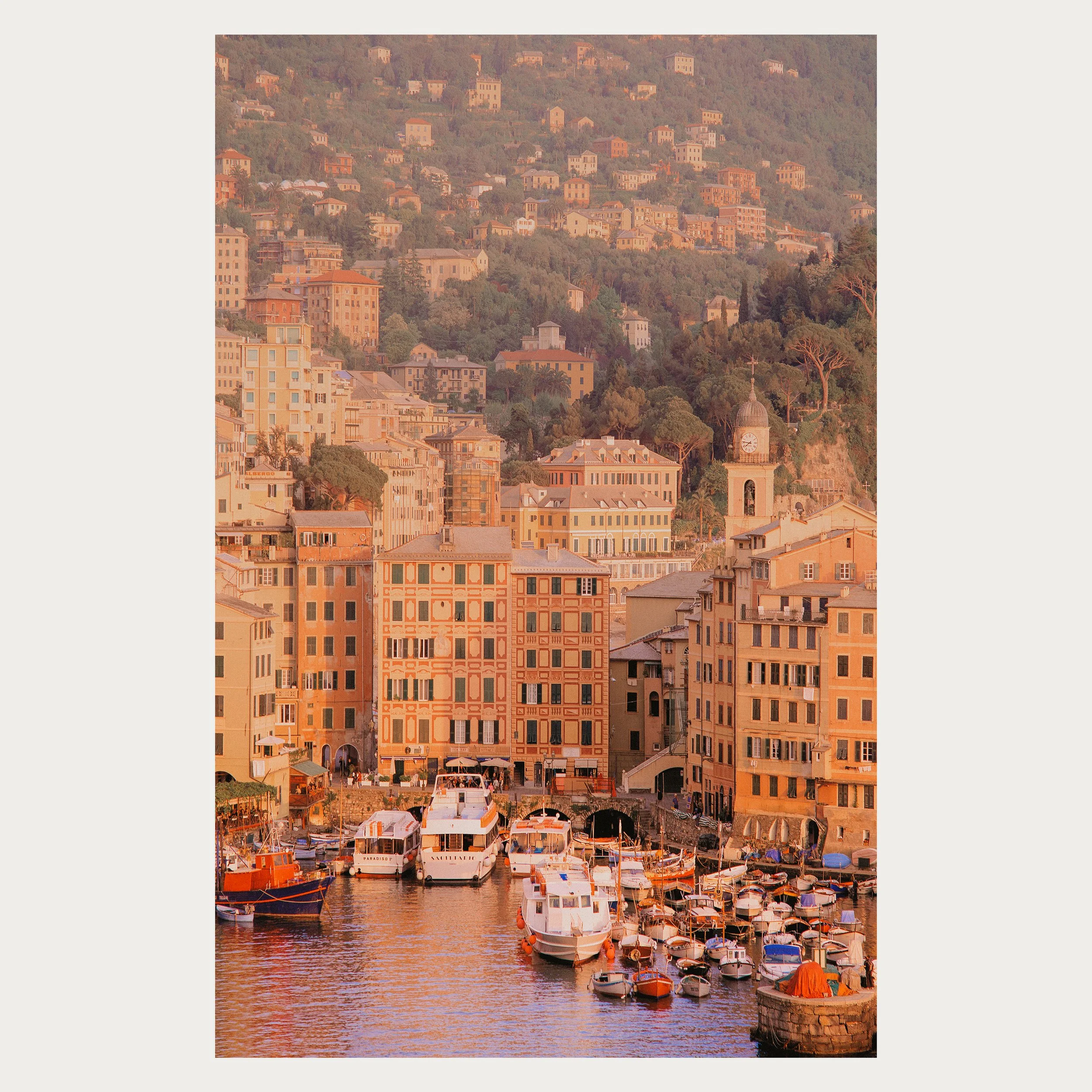 Now is the Light WEB.jpg