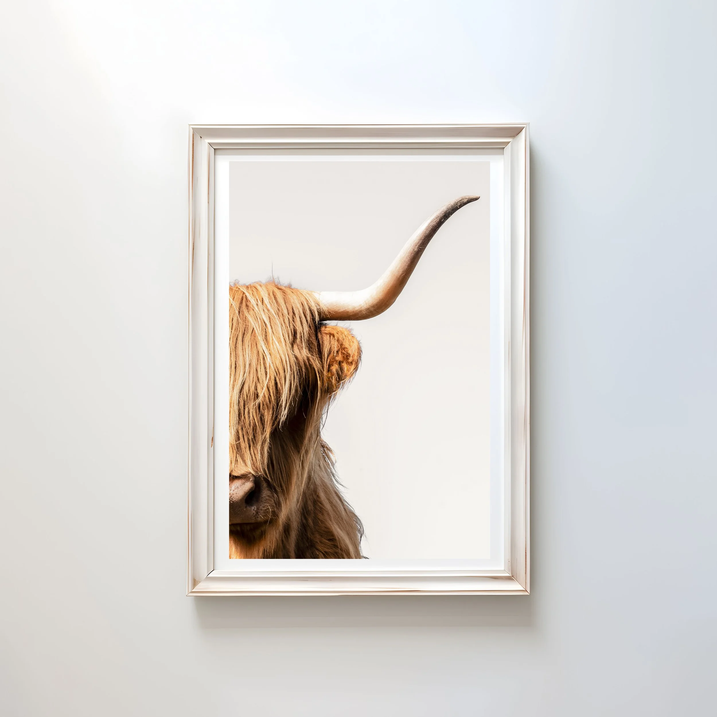 Rightlander MOCK2.jpg