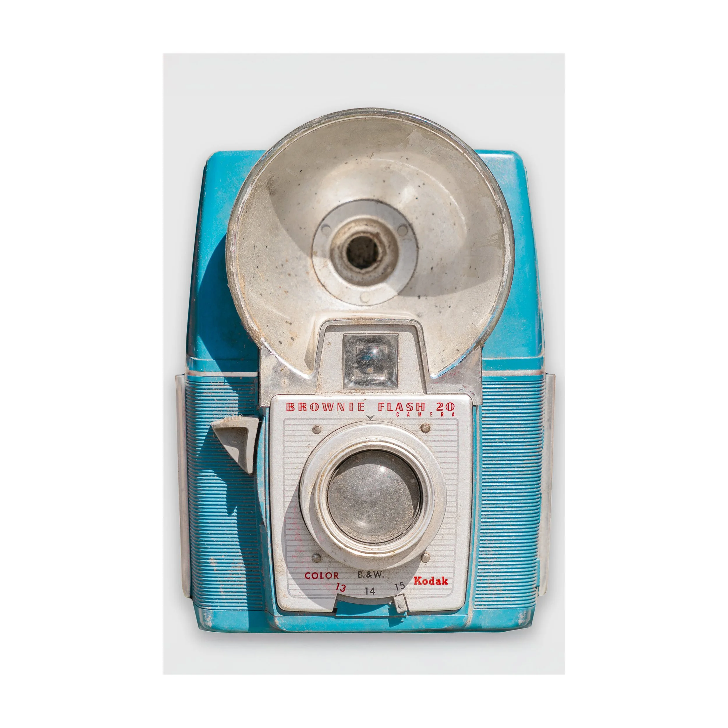 Blue Brownie (TP) WEB.jpg