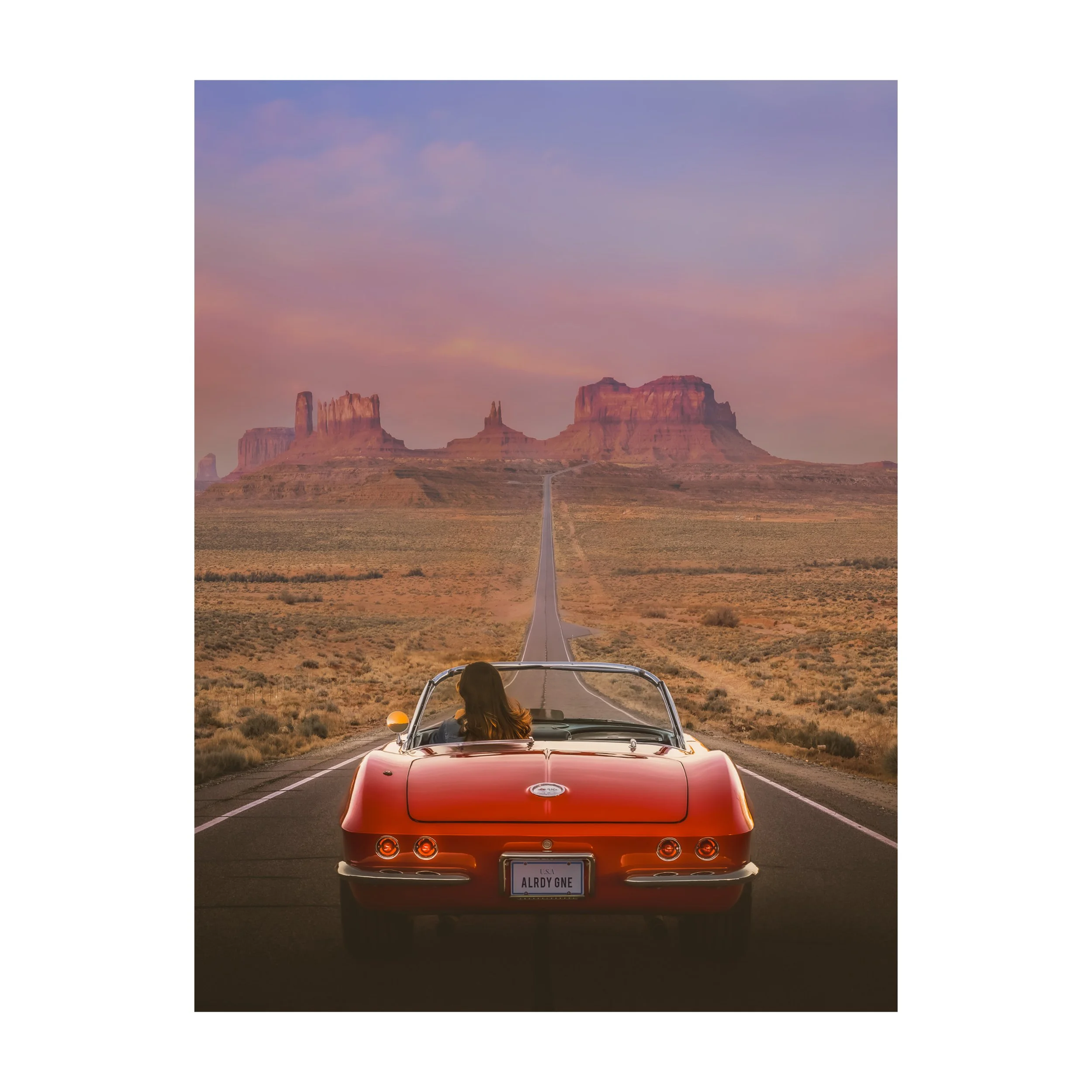 Haley (PL) FINAL WEB.jpg