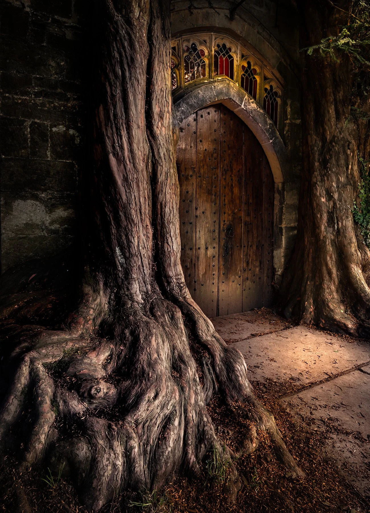 20556 Middle Earth (PL) WEB.jpg
