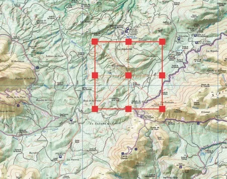 Picture3.jpg
