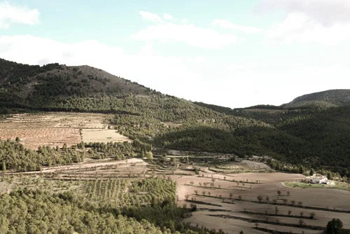 Los Gázquez (right) in relation to the land.