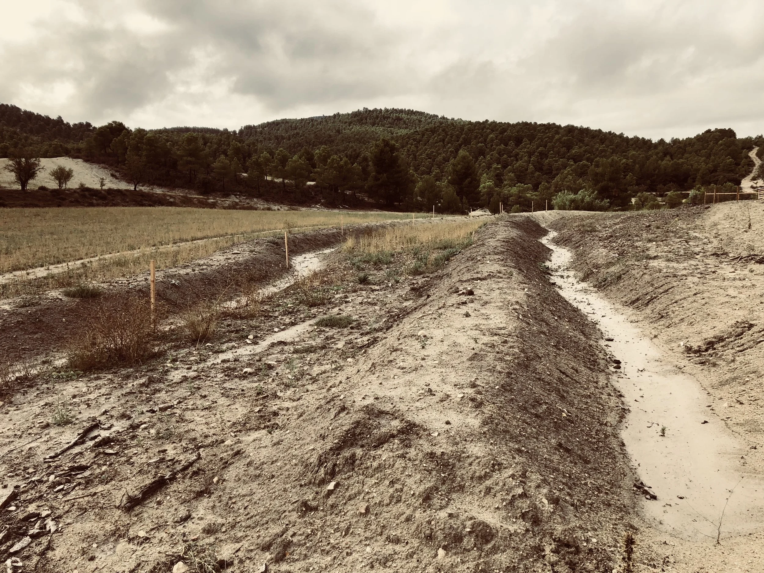 Yesterday’s storm illustrates just how the Joya: swale construction works. Rainfall has been retained and over time this will accumulate under ground providing a humidity reservoir for the coming plantation this winter.