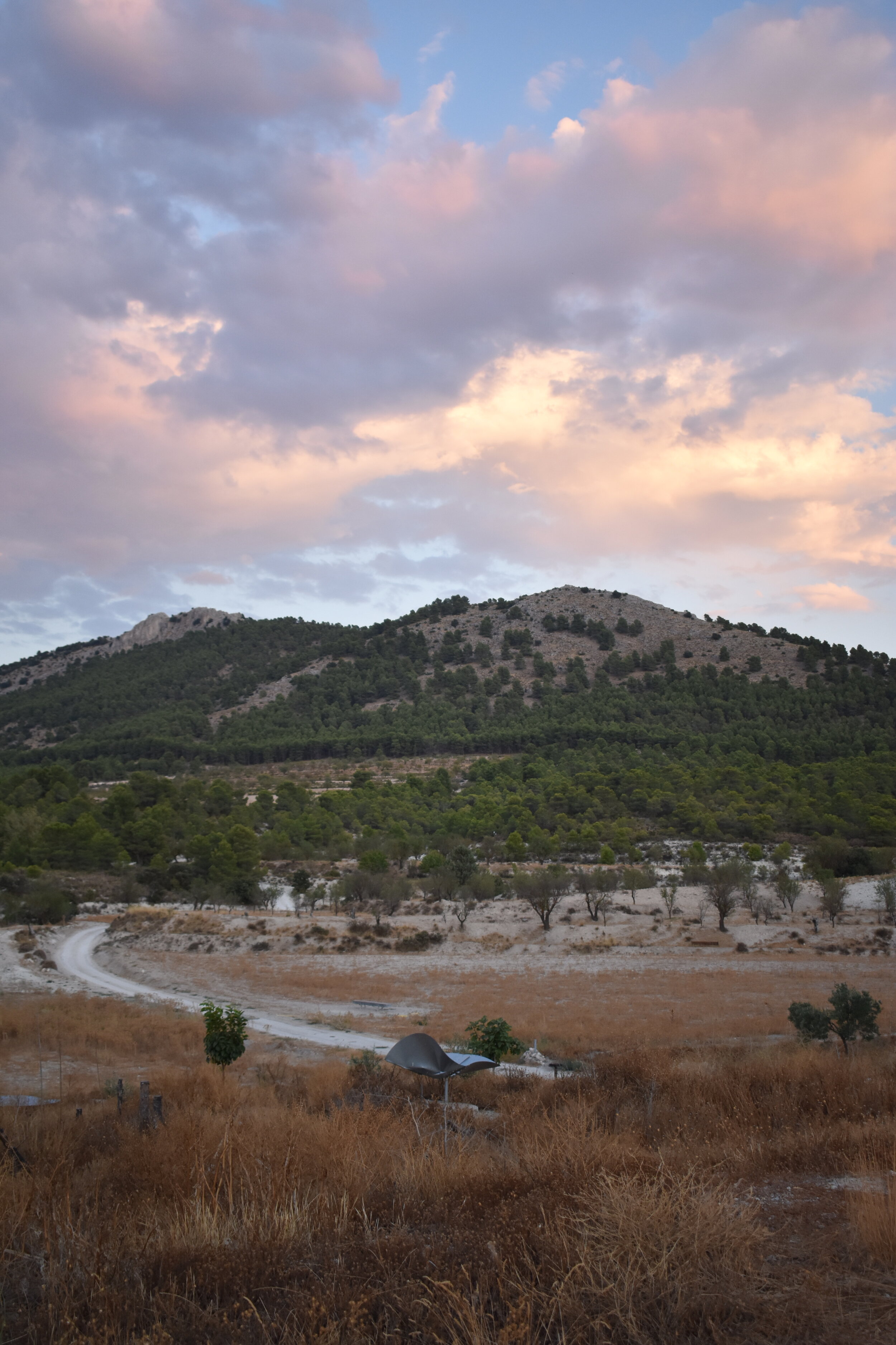 view from Joya: AiR