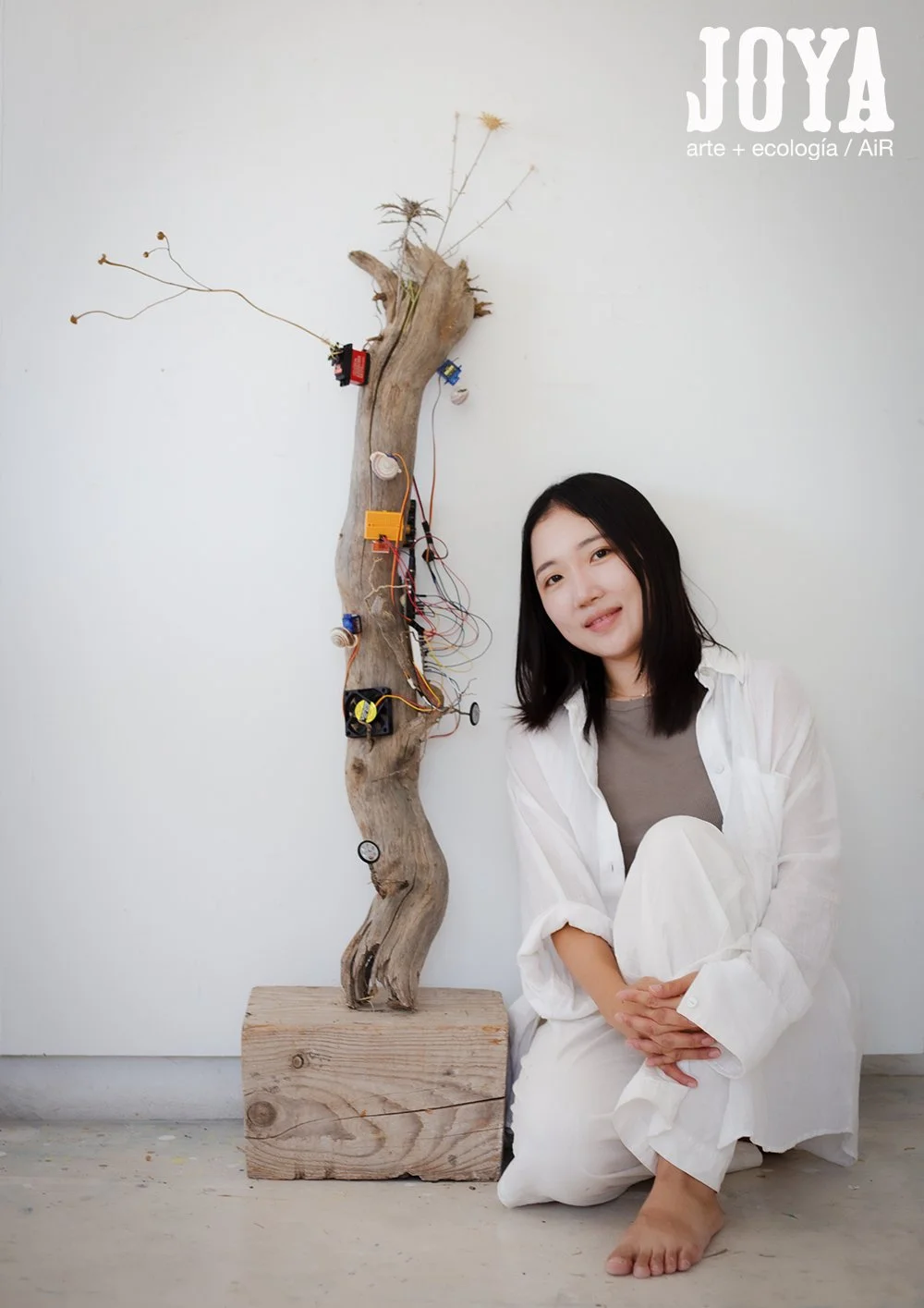 Joya: flujo / Yiyeon Kim / 2026