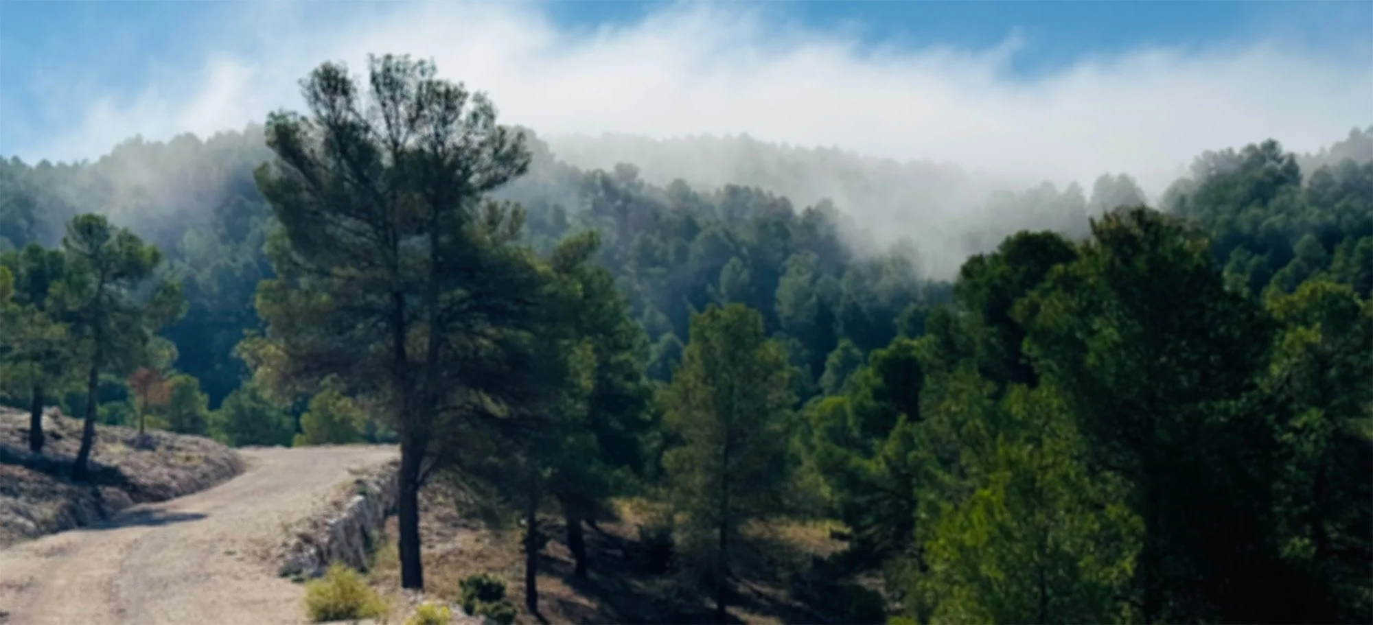 apply now: spring - summer 2026