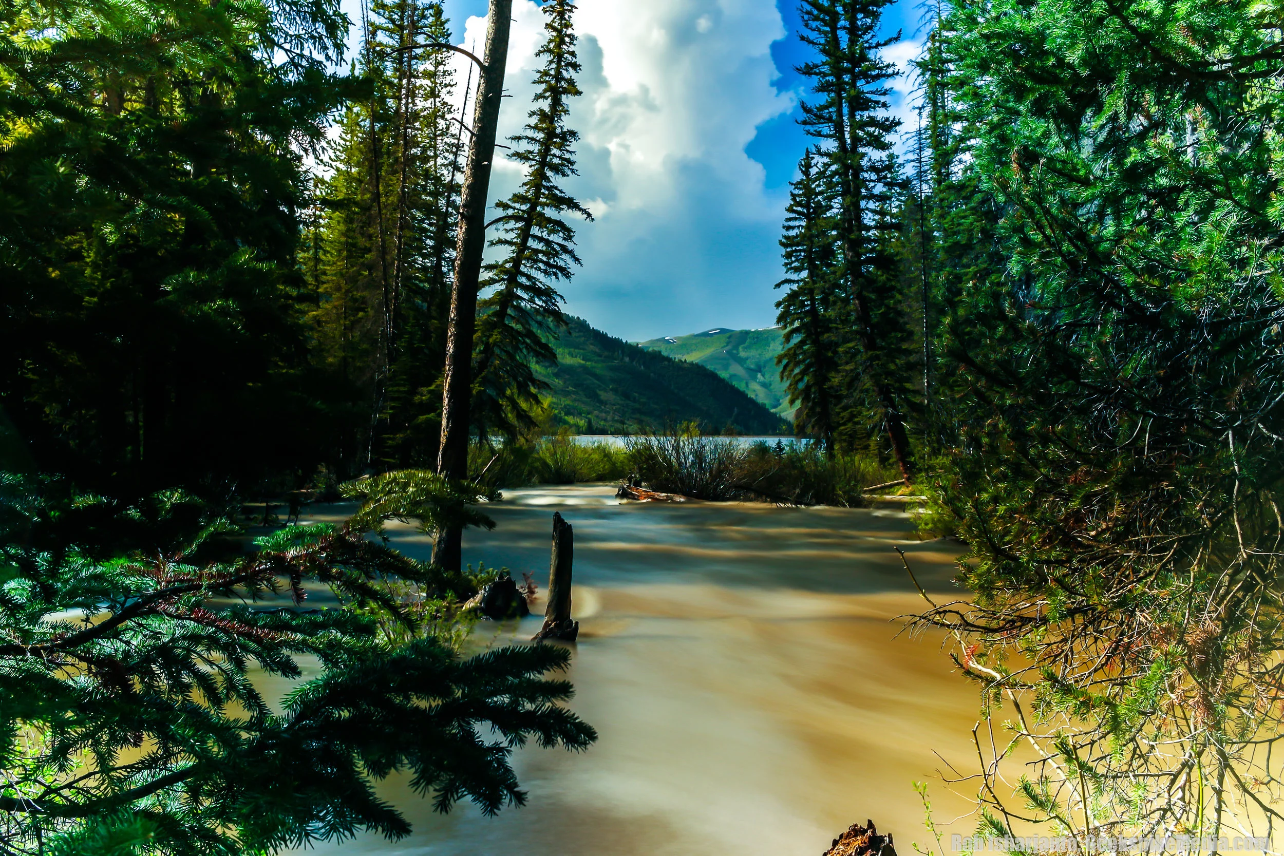 002-IMG_8305-Edit.jpg