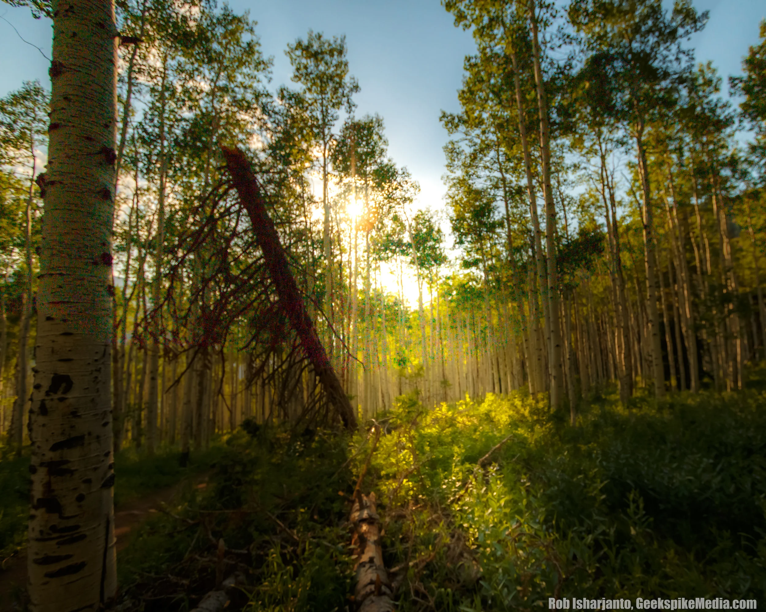 015-IMG_0397-HDR.jpg