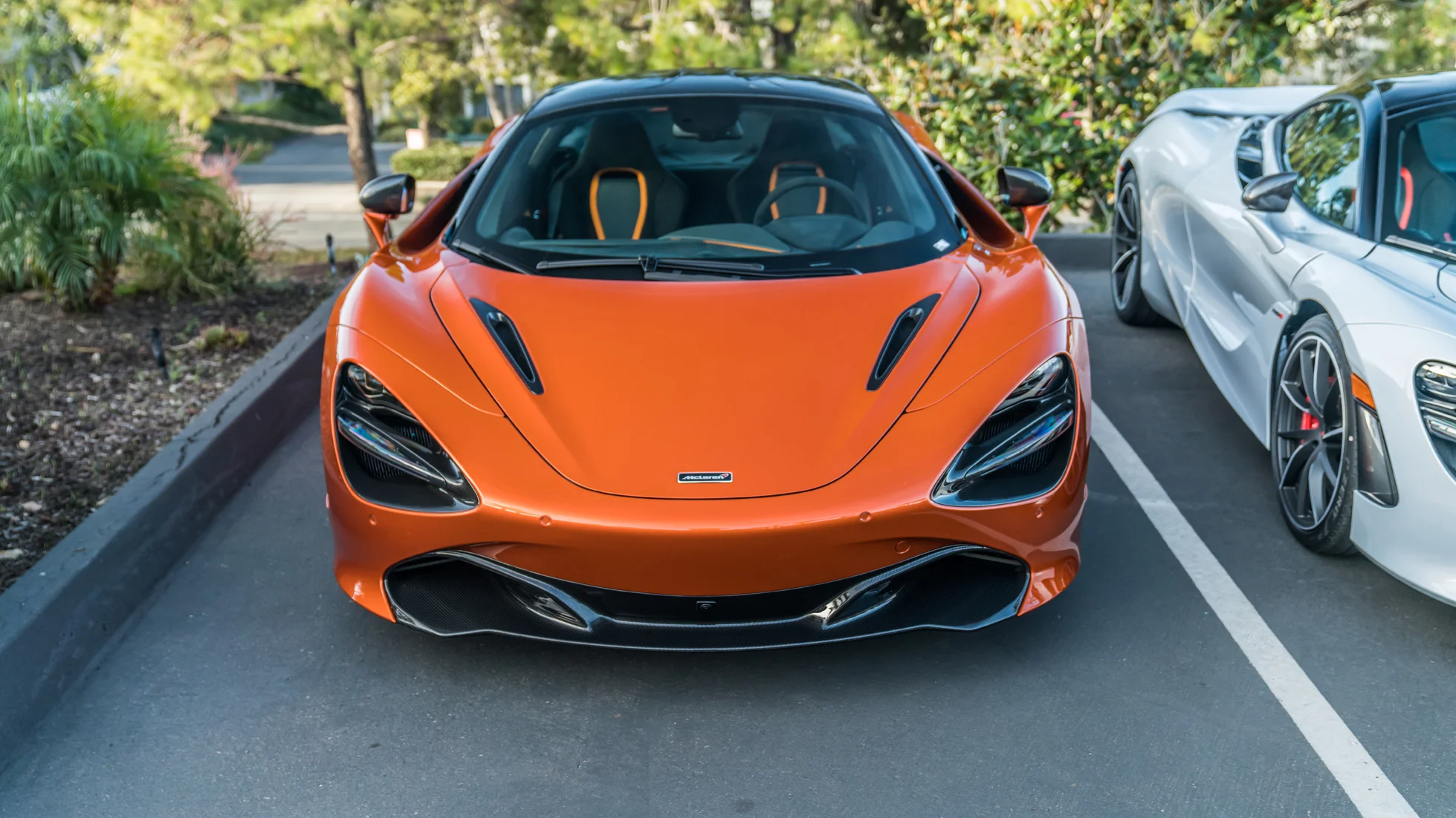 San Diego GT Jan 18-6.jpg