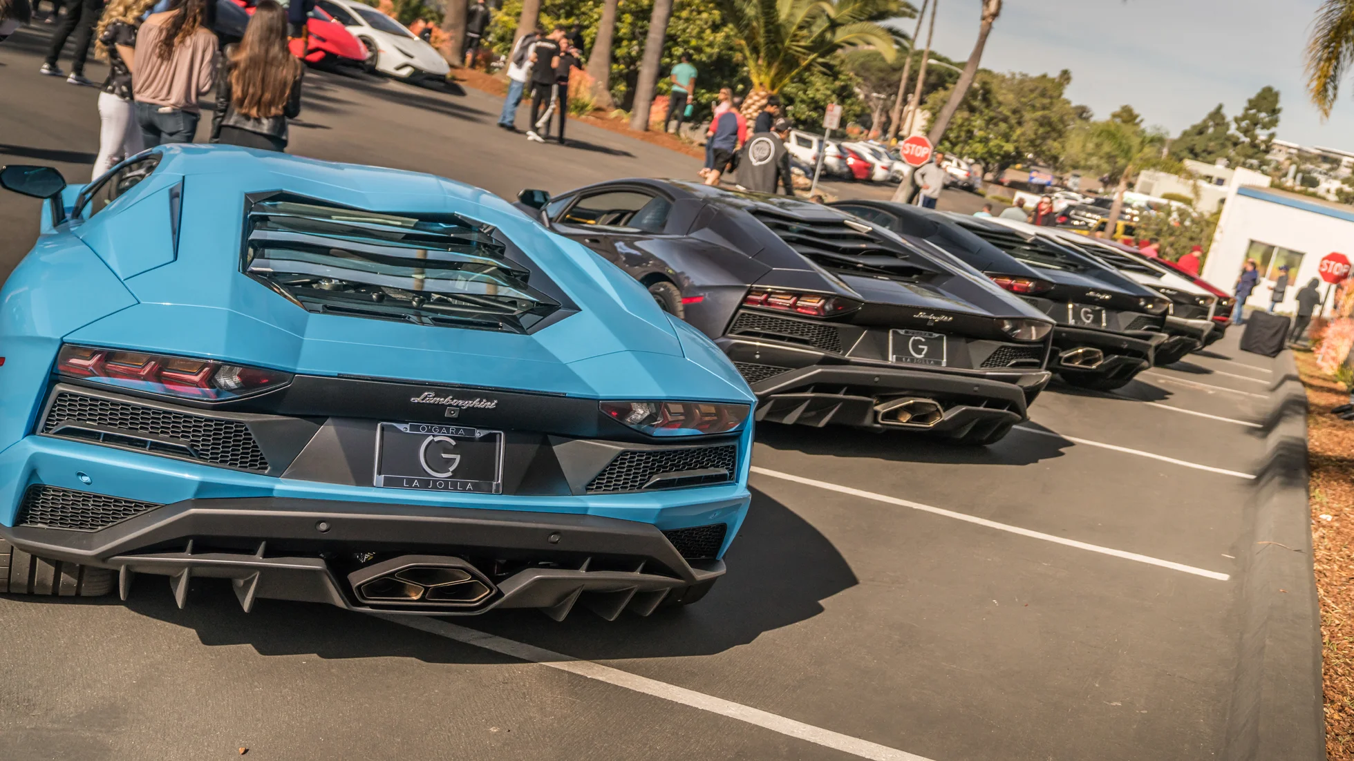 San Diego GT Jan 18-92.jpg