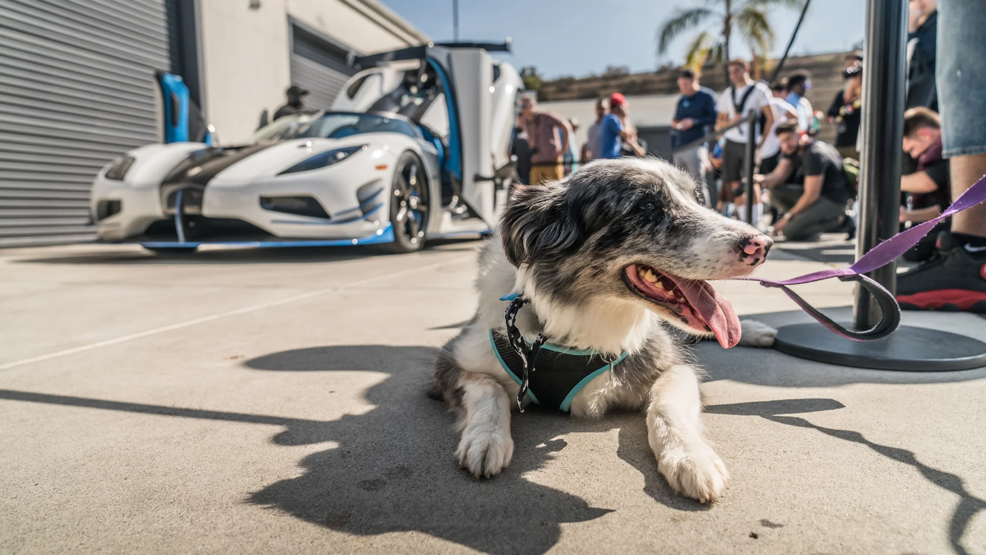 San Diego GT April-64.jpg