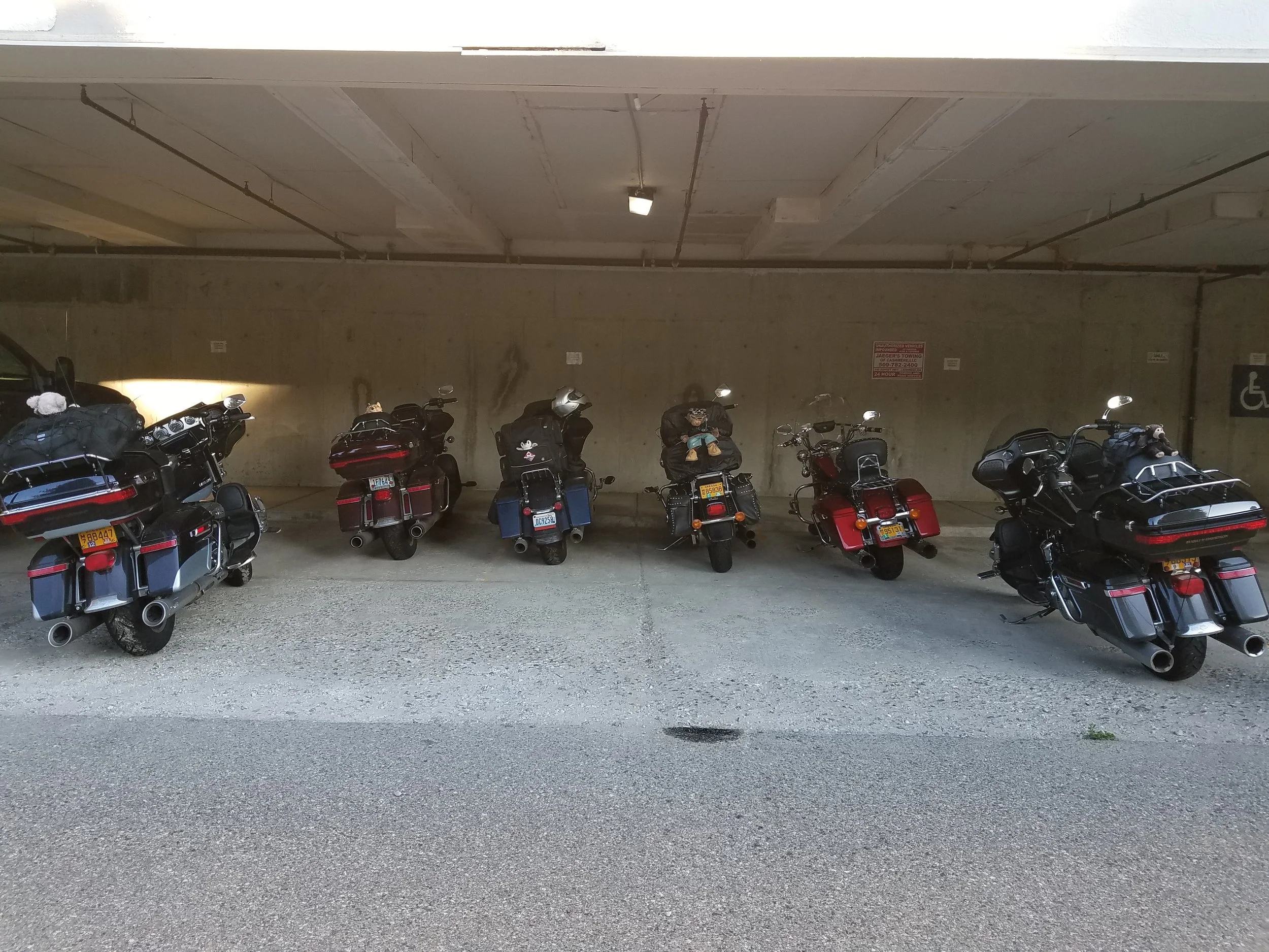 20190919_073823.jpg