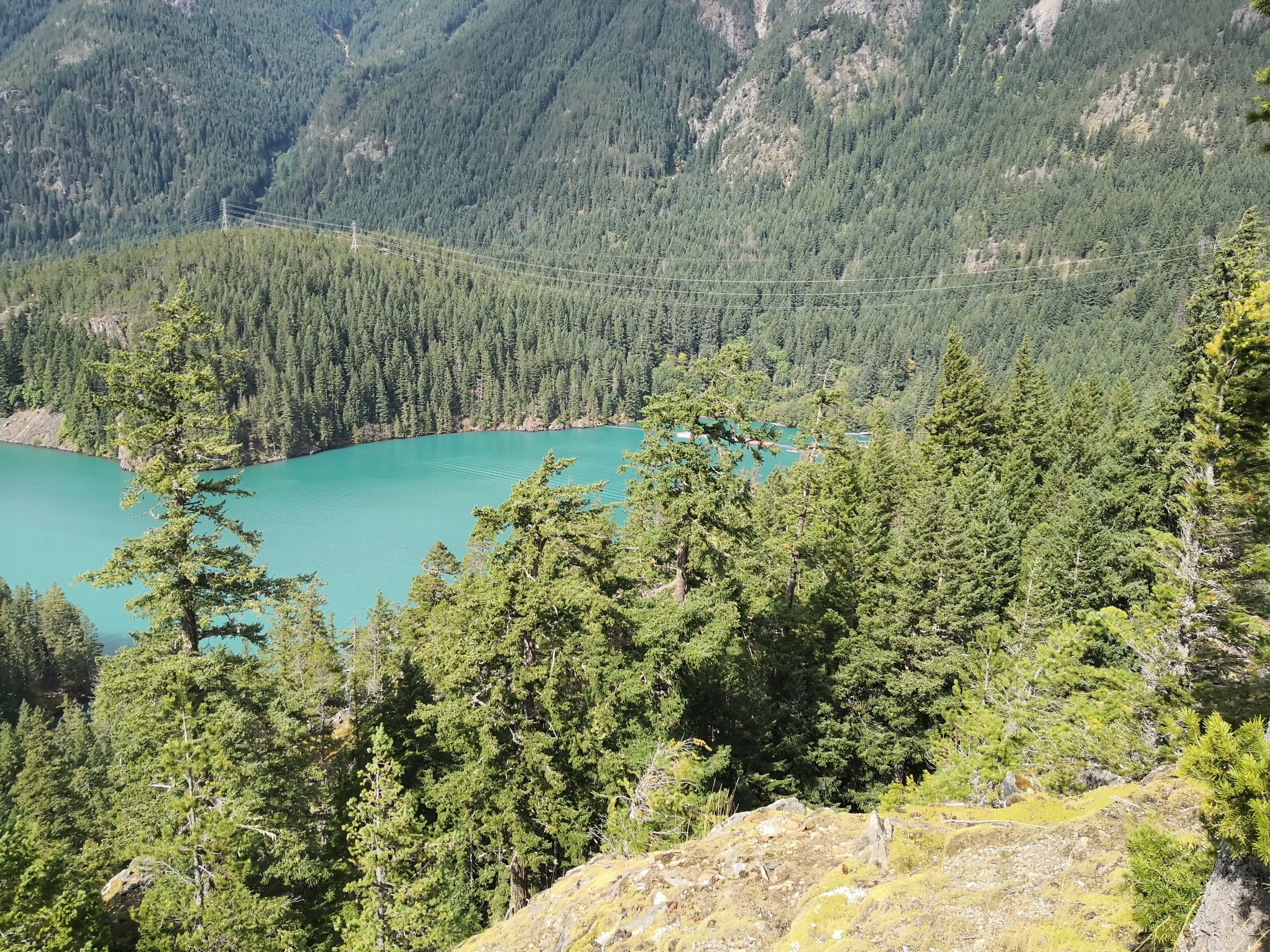 IMG_20190919_133643.jpg