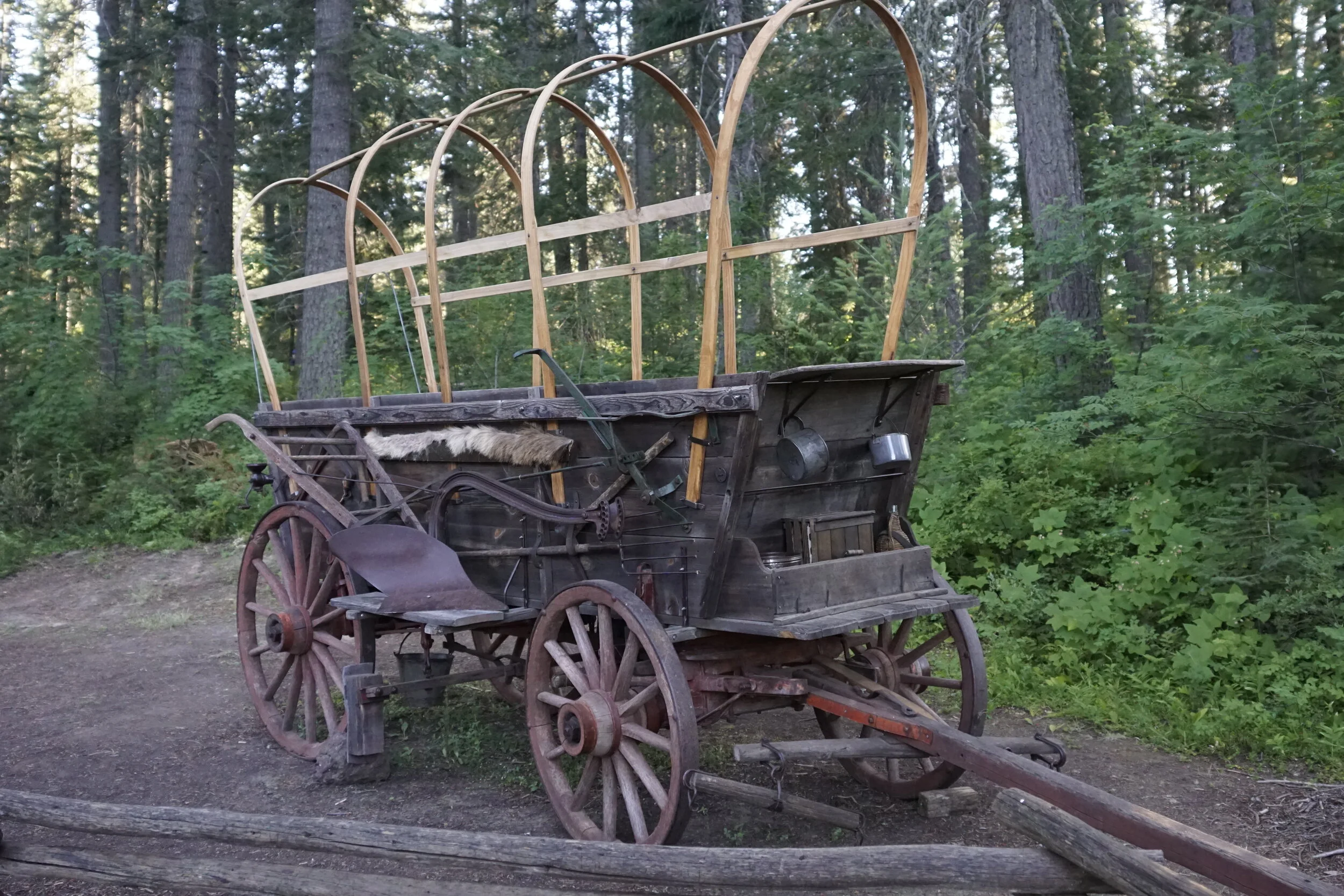 August 2021 Newsletter