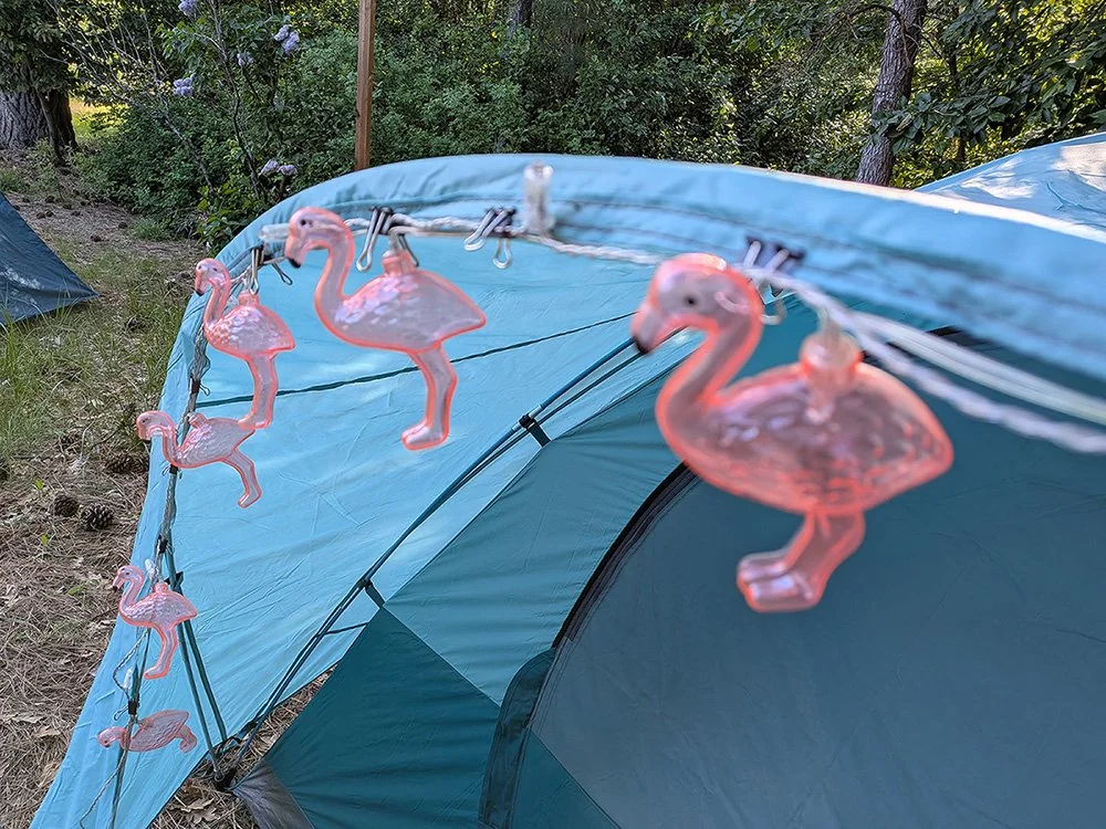 BRMC May2026 - Tent Flamingoes.jpg