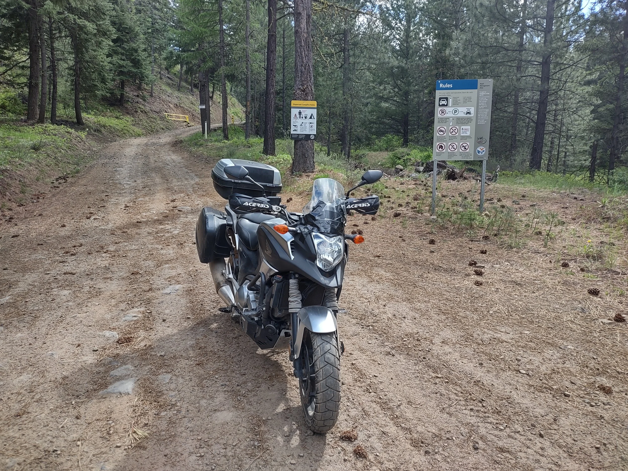 TomC - Ahtanum State Forest.jpg
