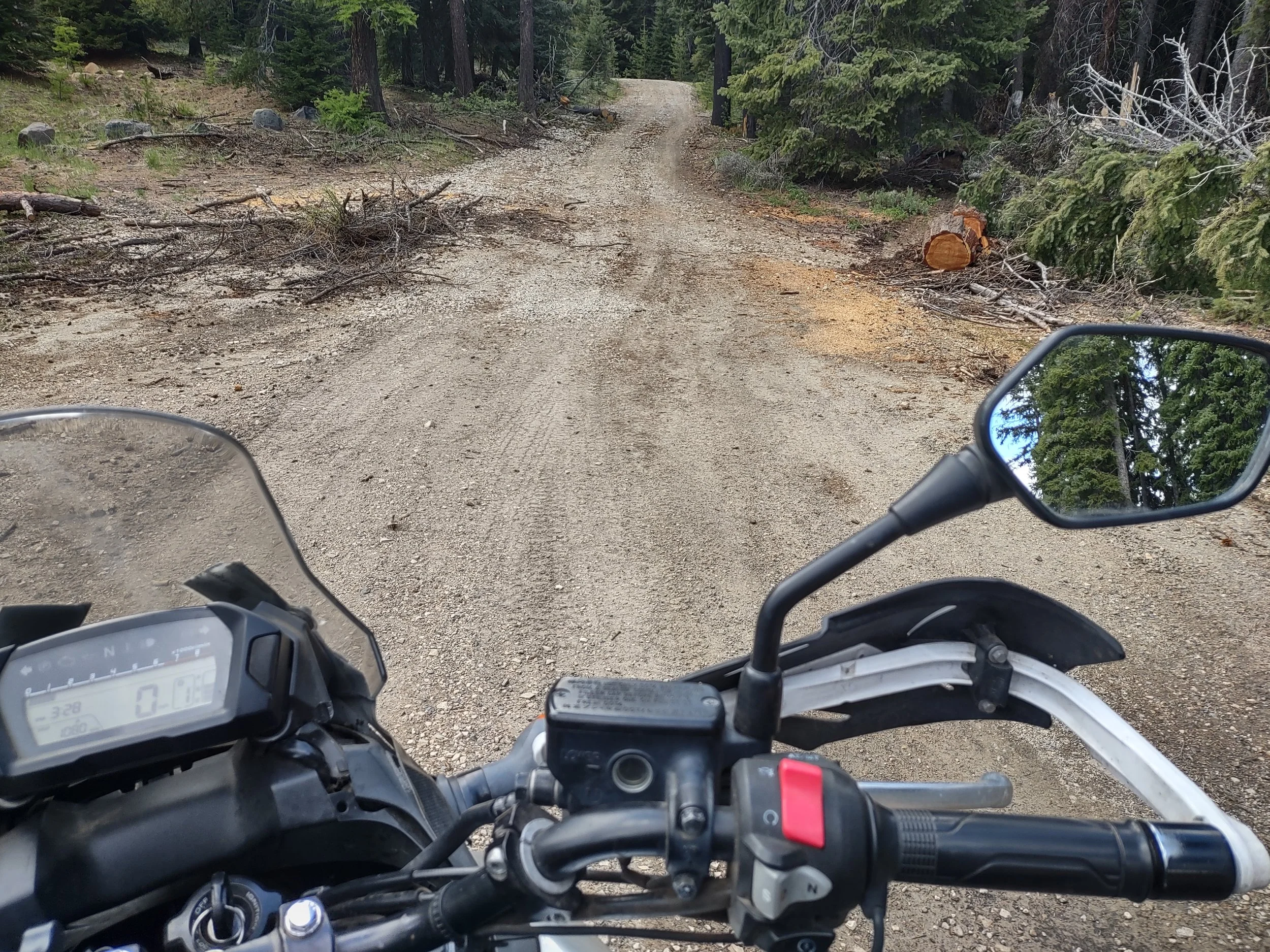 TomC - Ahtanum State Forest at Tree Phone Campground.jpg