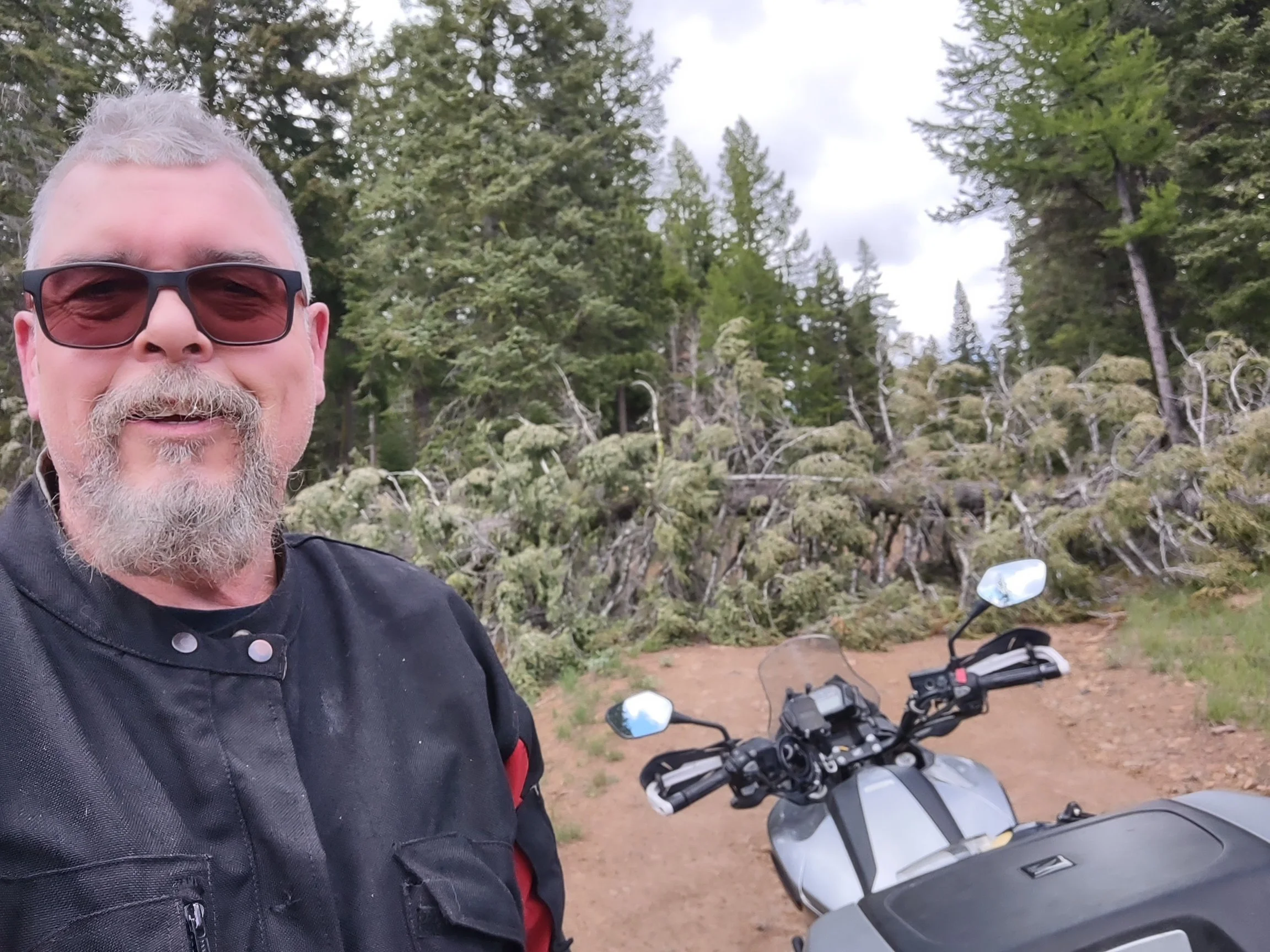 TomC - Ahtanum State Forest blocked by tree fall 2.jpg