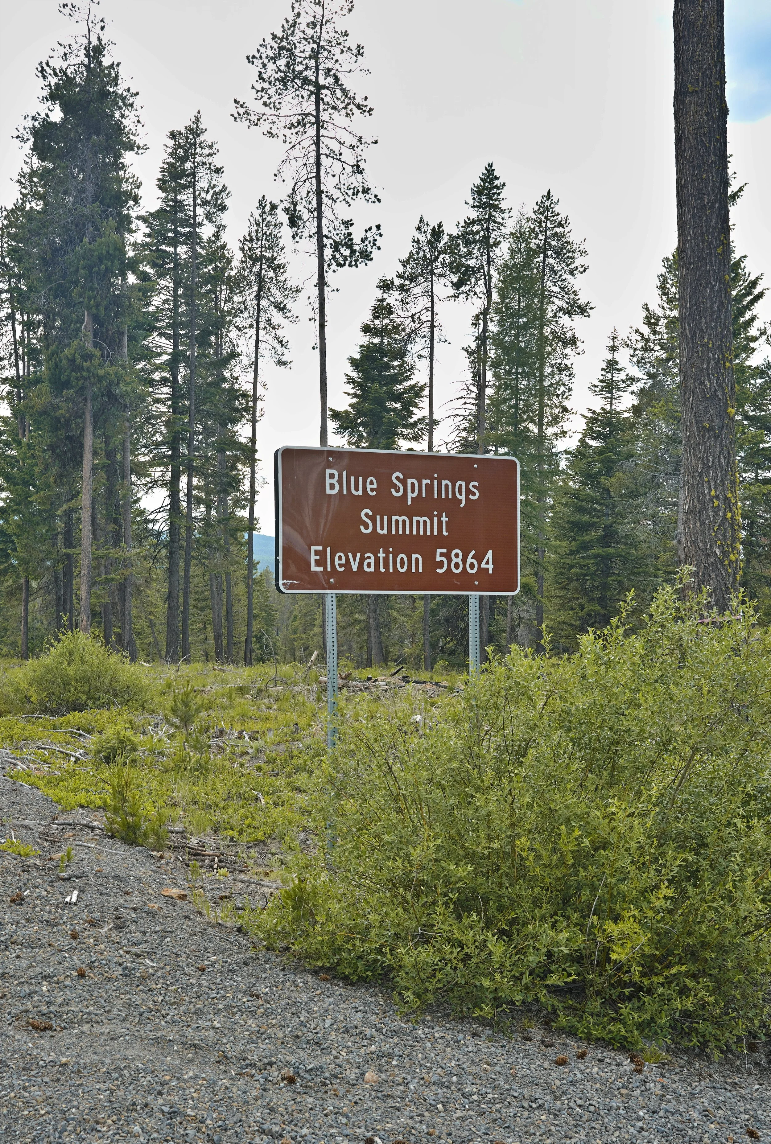 BRMC June2026 - Blue Spring Summit on Wallowa-Willapa National Forest Road 73 north of Granite.jpg