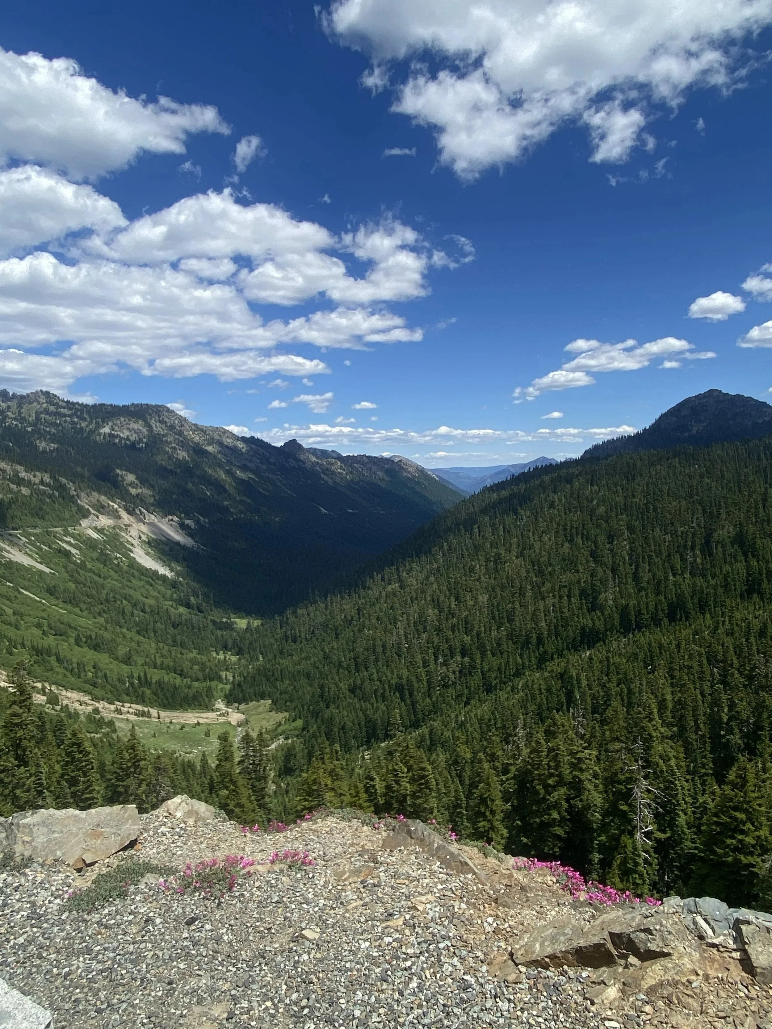 BRMC June2026 - Chinook Pass 2.jpg