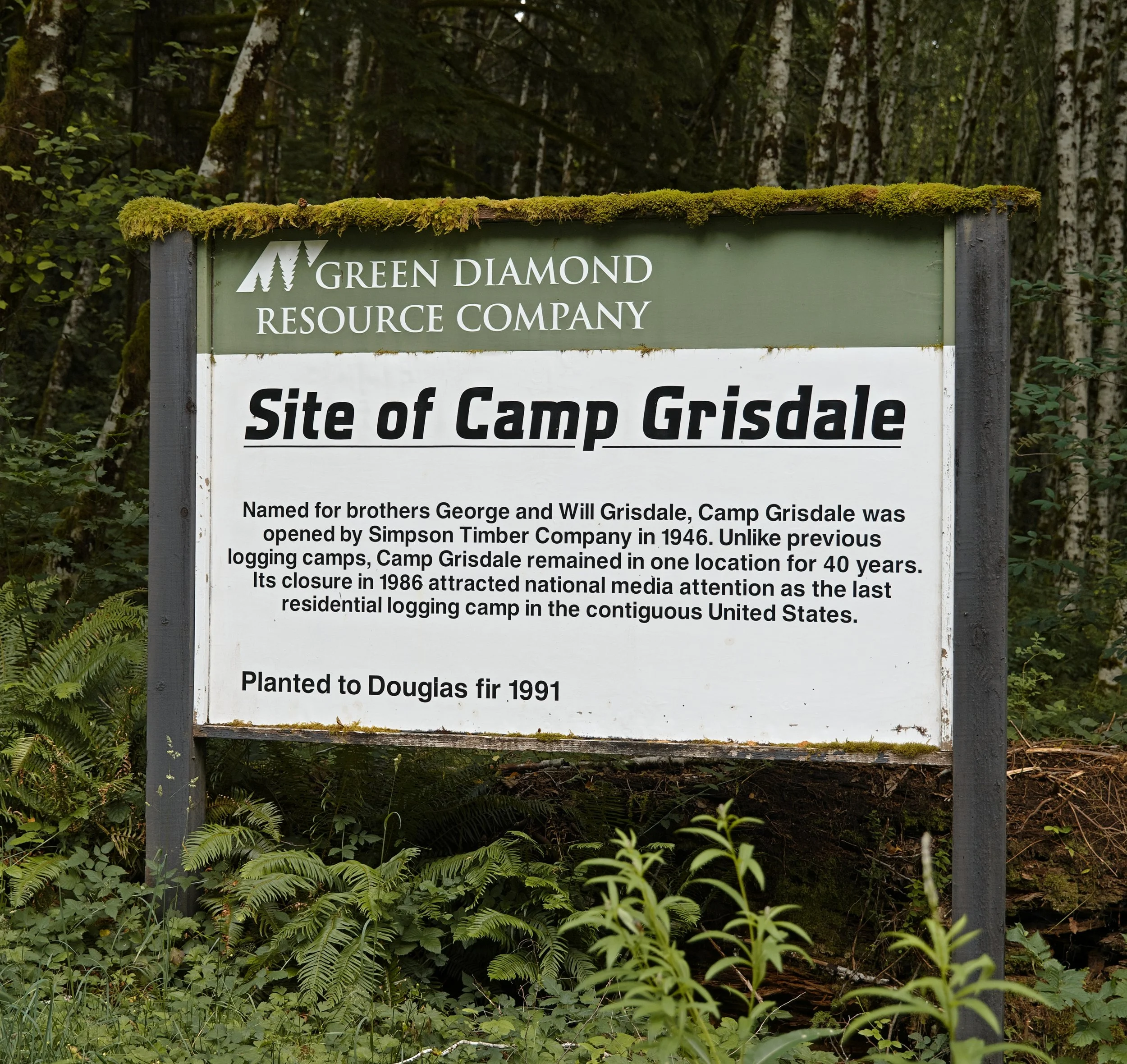 BRMC July2026 - Camp Grisdale.jpg