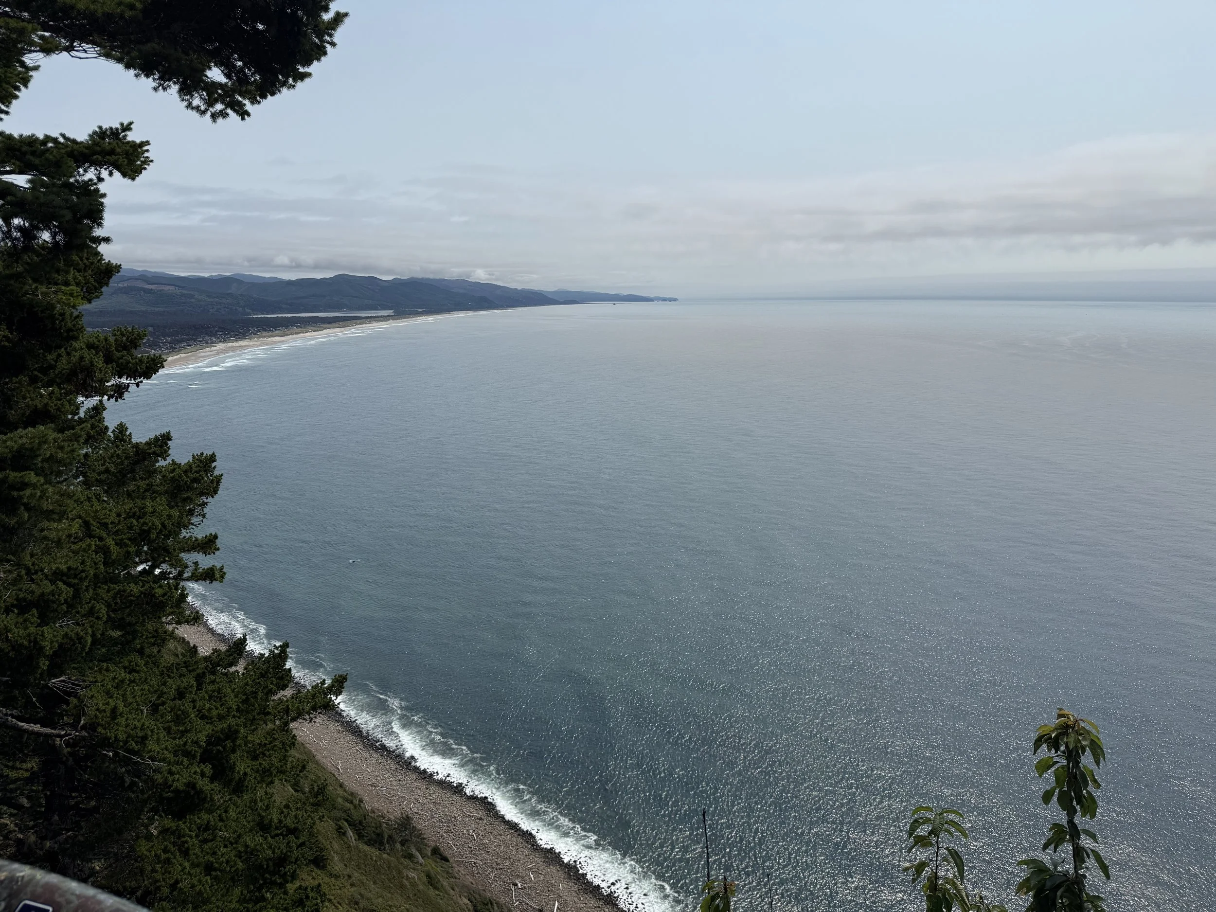 IMG_1678.jpeg