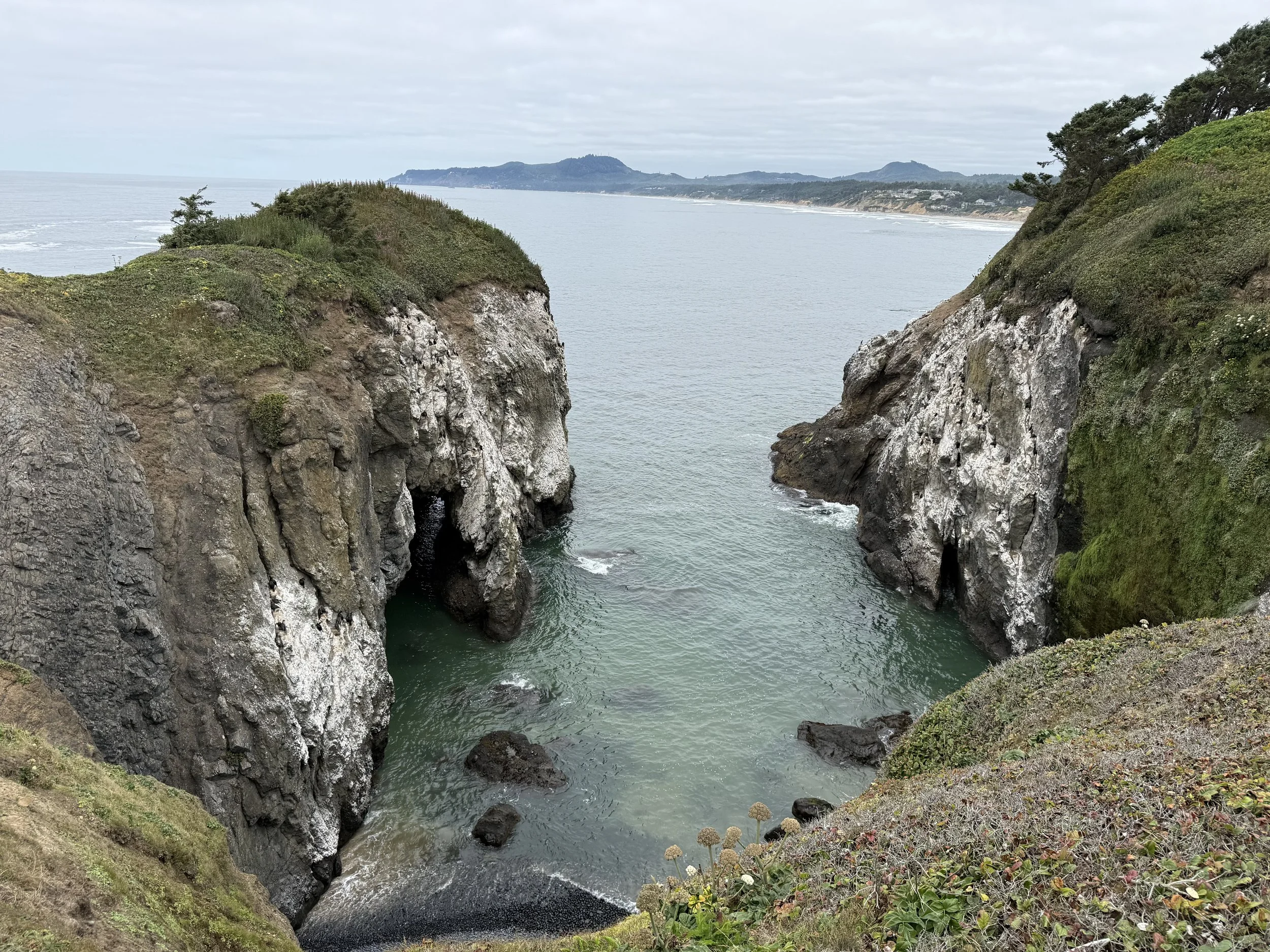IMG_1741.jpeg
