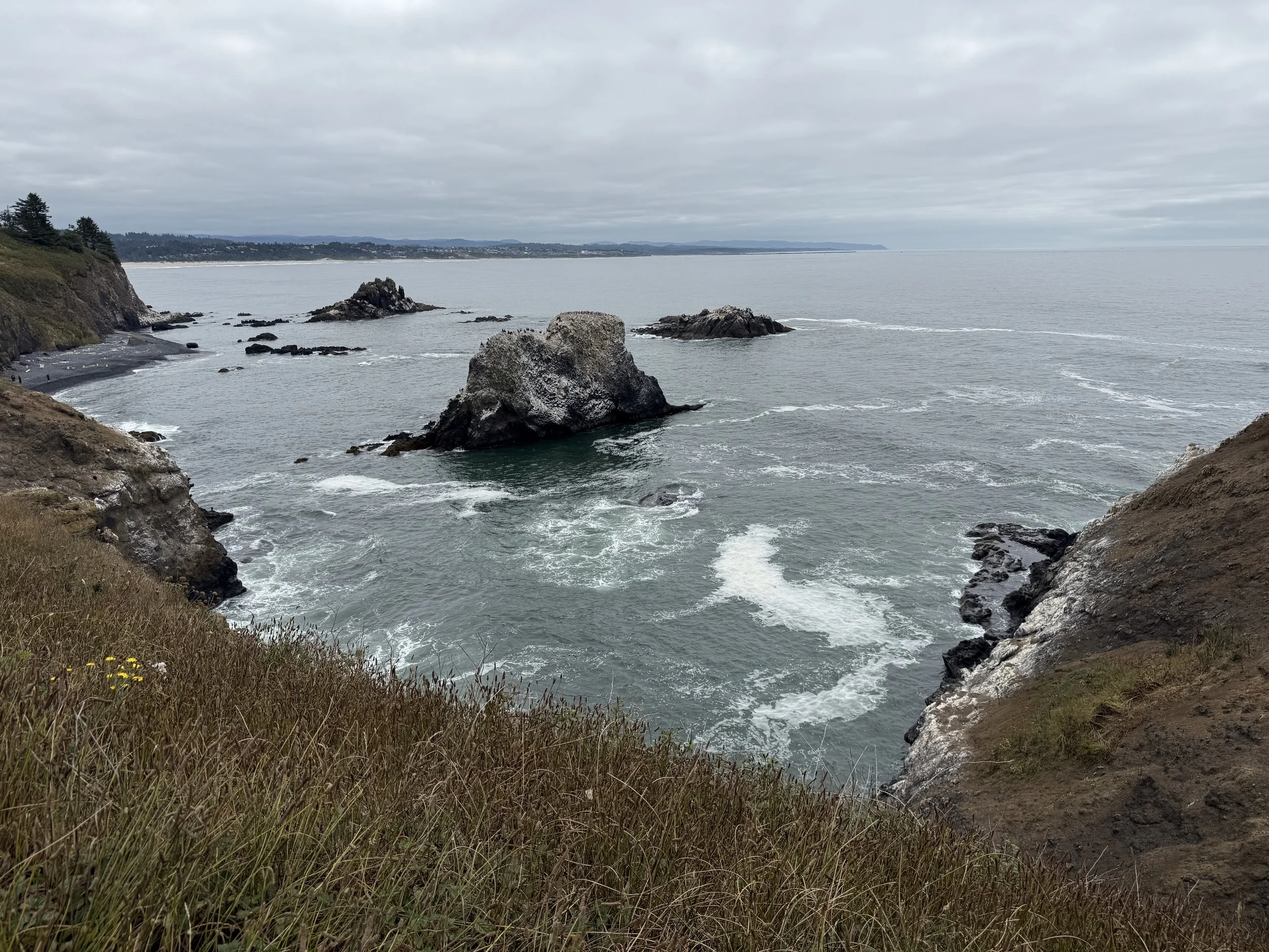 IMG_1772.jpeg