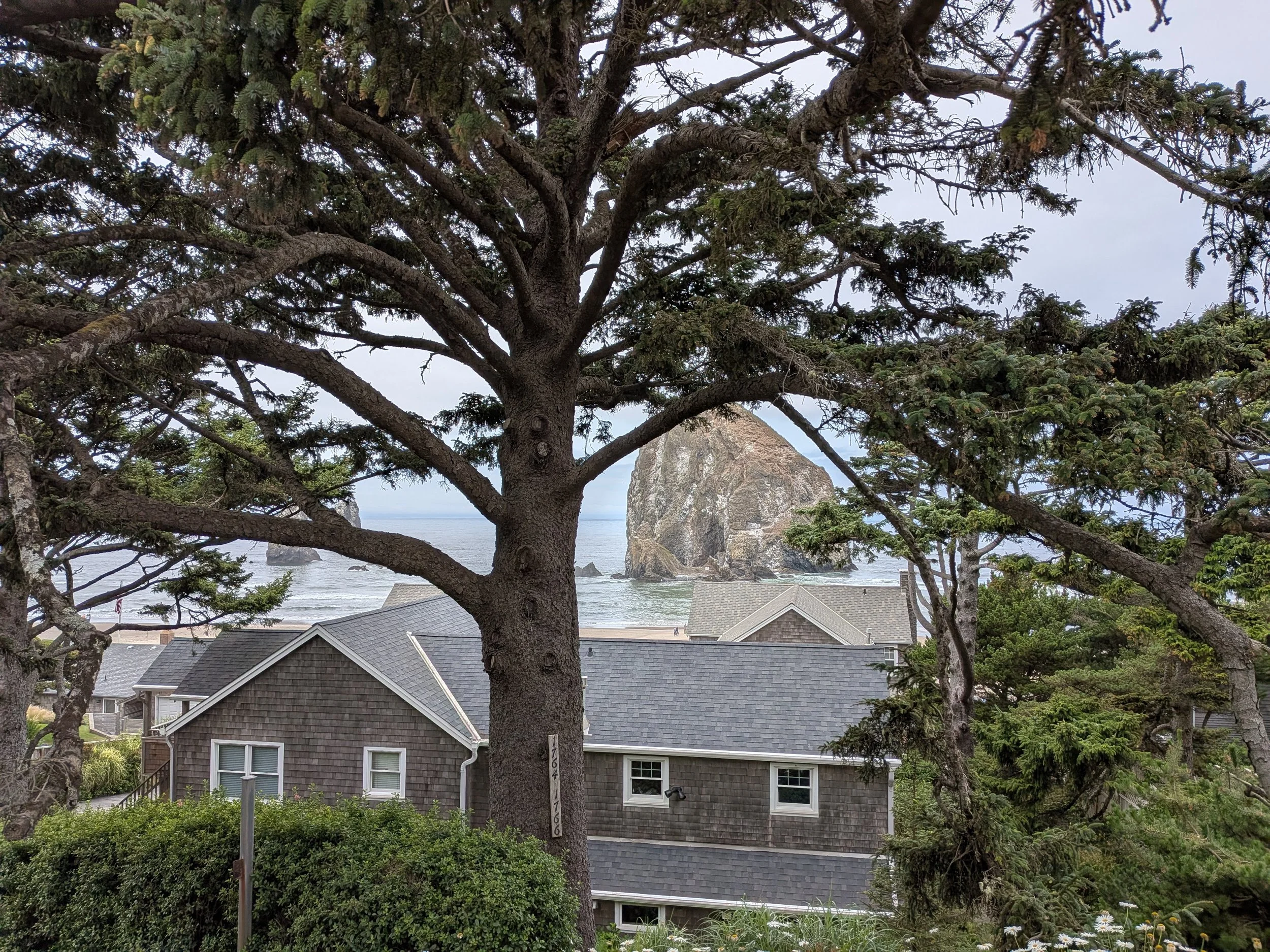 Cannon_Beach_1.jpg