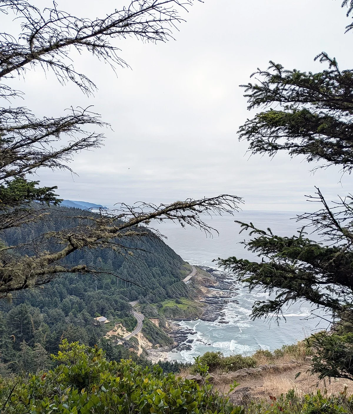 Cape_Perpetua_Lookout_1.jpg