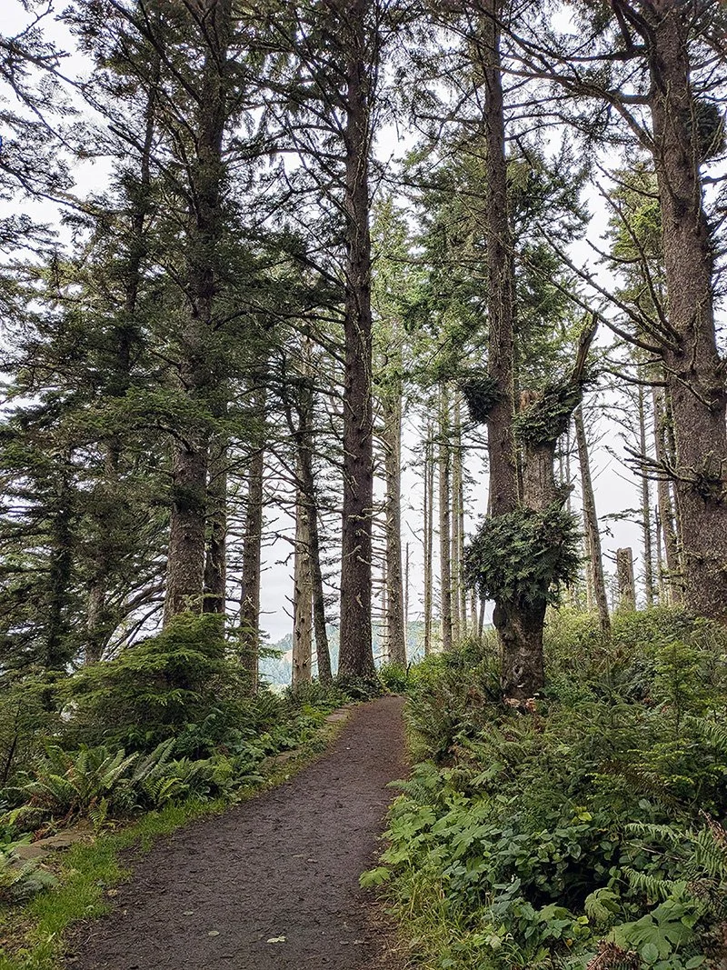 Cape_Perpetua_Lookout_4.jpg