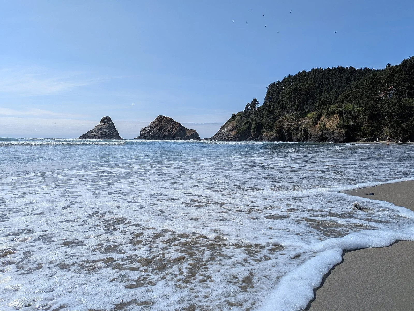 Heceta_Lighthouse_Beach_2.jpg