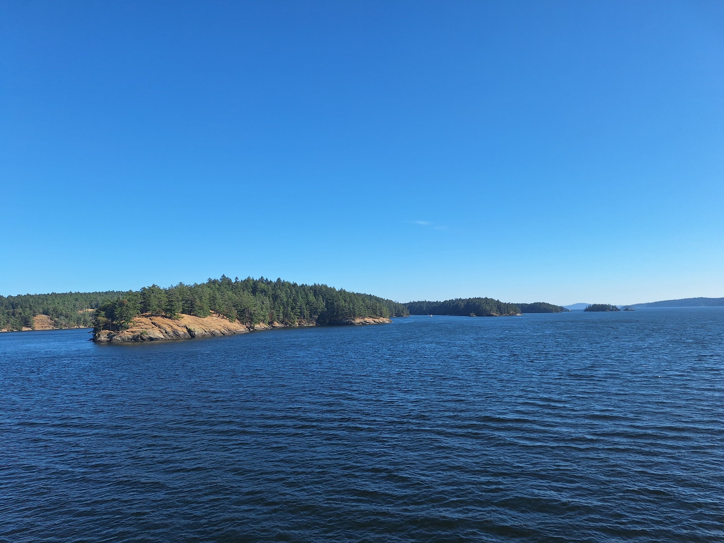 20260918_153148.jpg