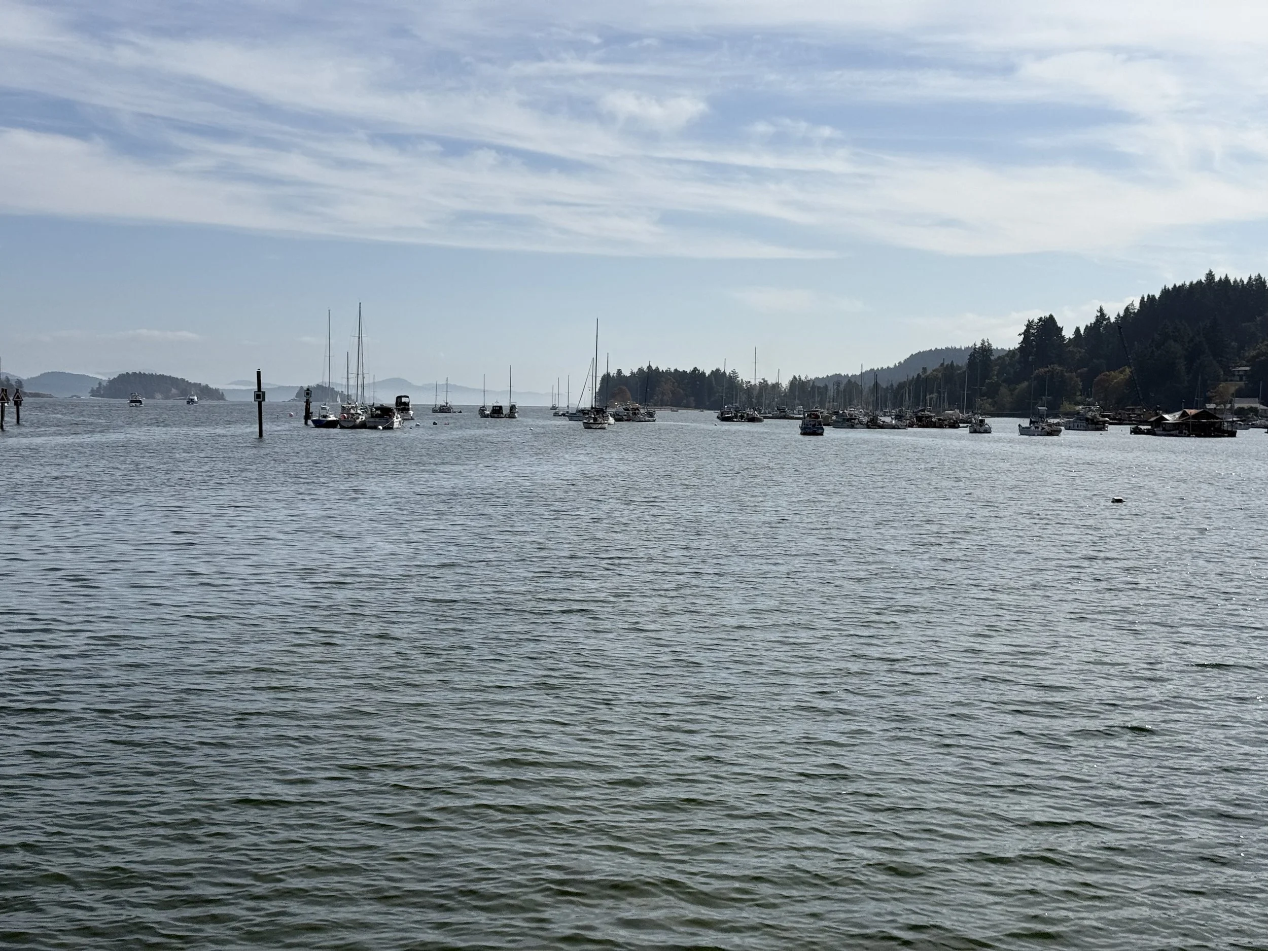 IMG_2522.jpeg