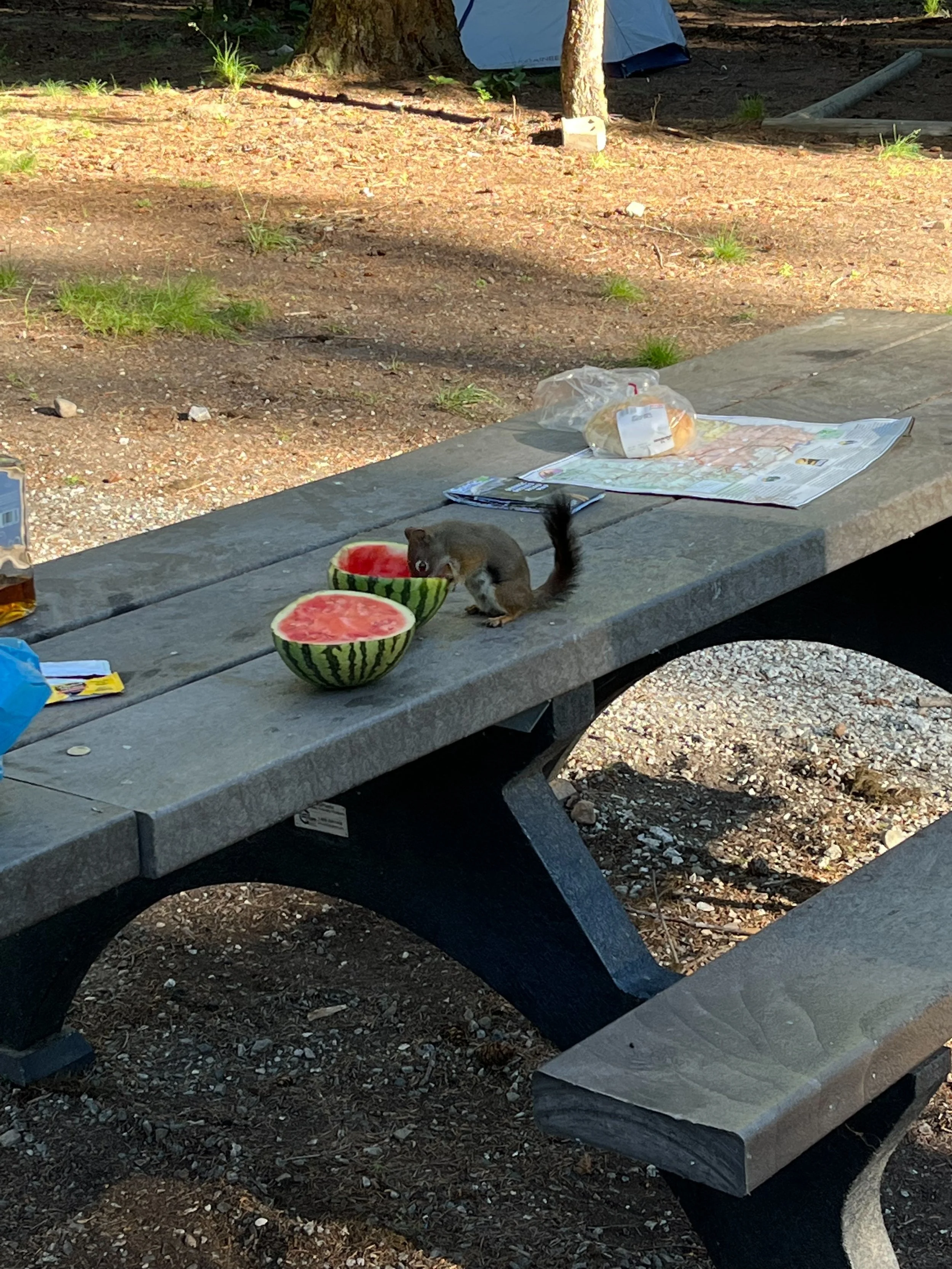 August 2022 Newsletter