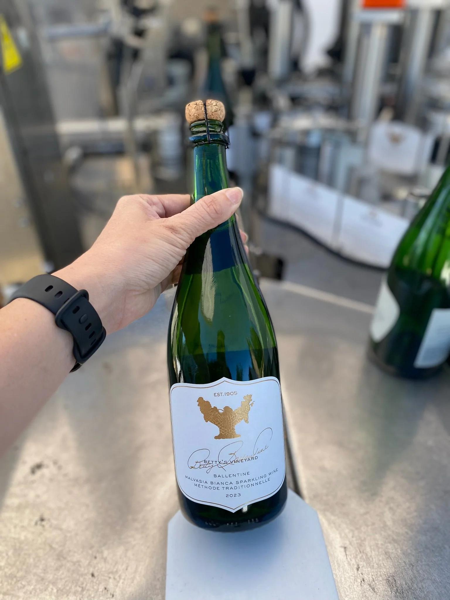Ballentine Vineyards 2023 Sparkling Malvasia Bianca, Betty's Vineyard.
