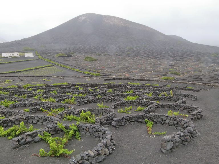 Canary Islands - Wikipedia