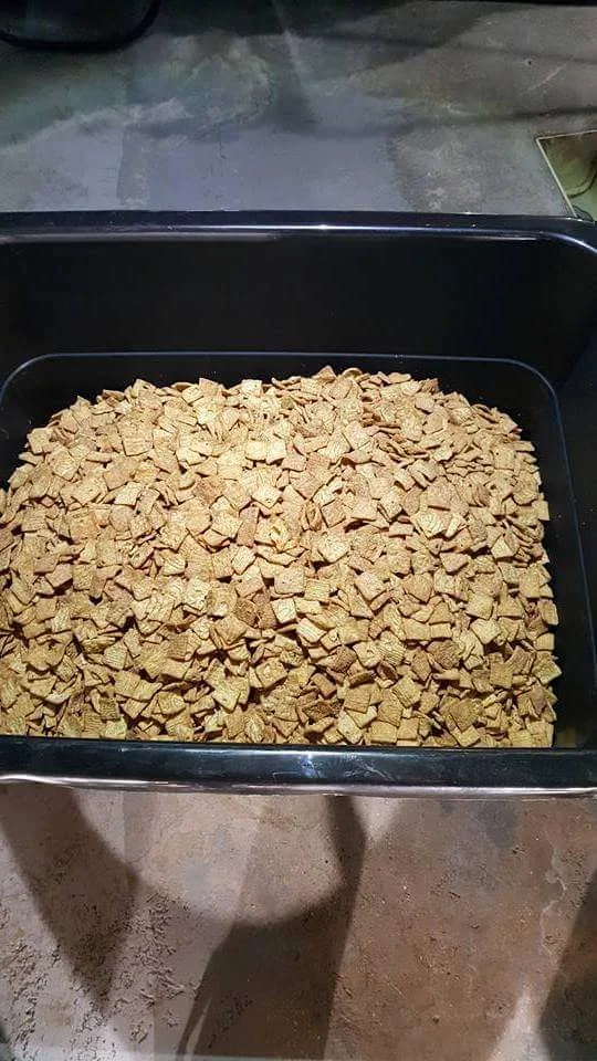 Breakfast: It's What's For Beer!