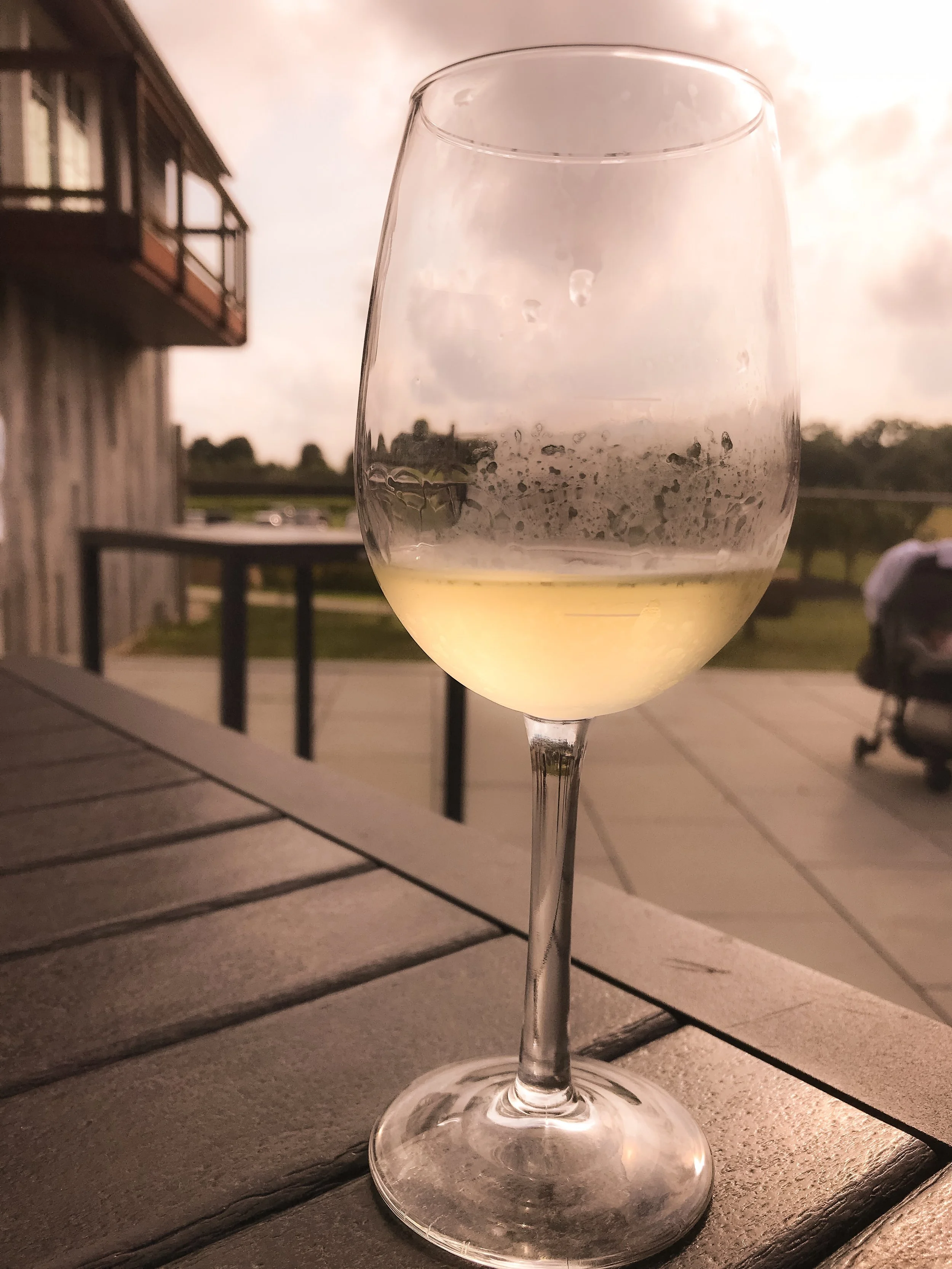Songs of Summer Sip-Along