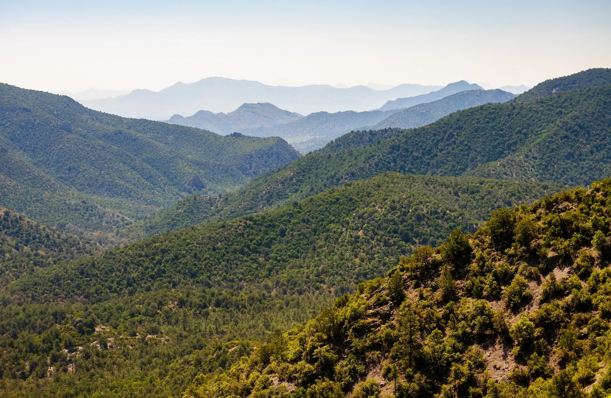 How Willcox AVA Became the Largest Wine Region in Southeastern Arizona