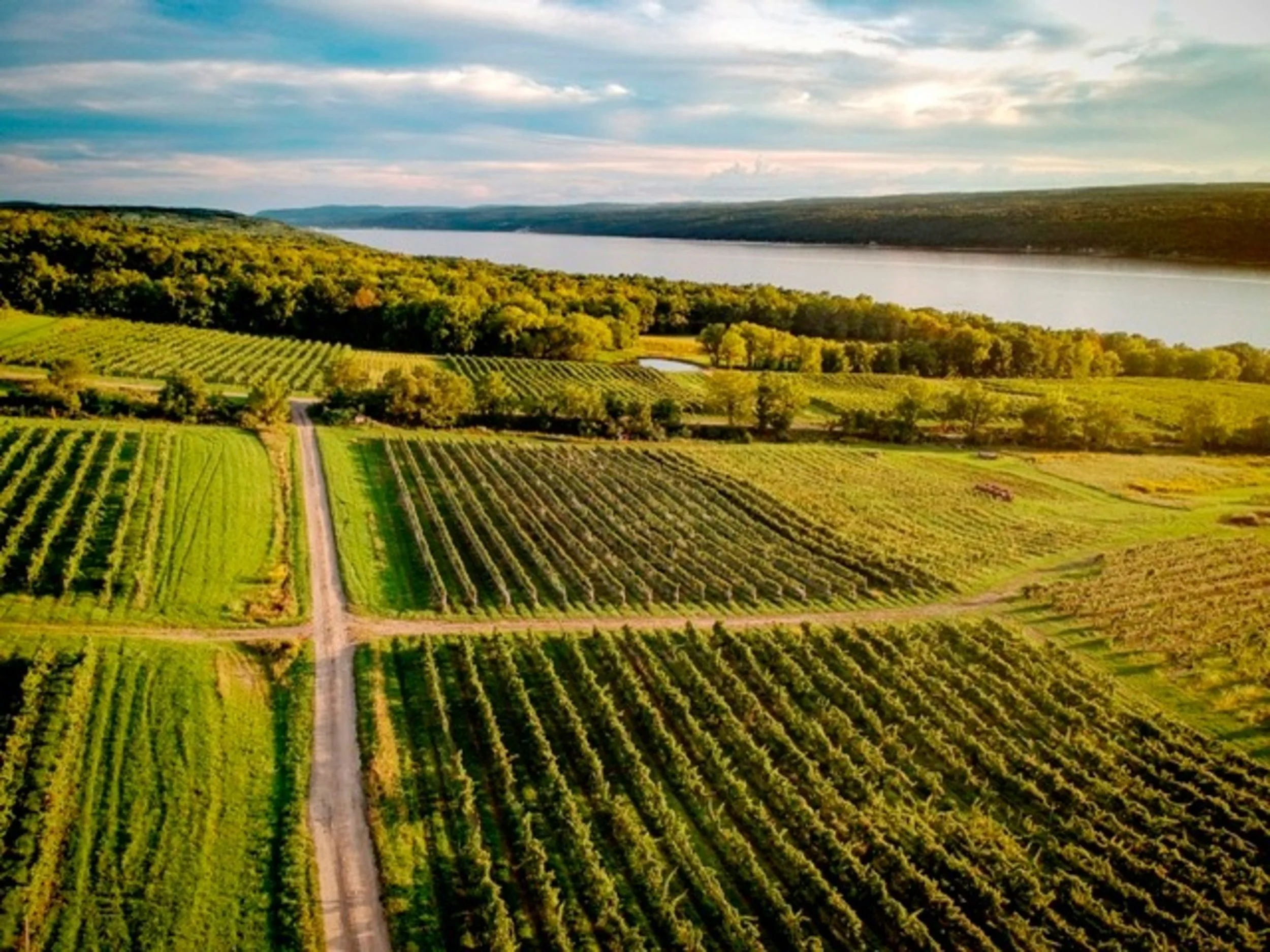 Discover the Standout Sparkling Wines of the Finger Lakes Region