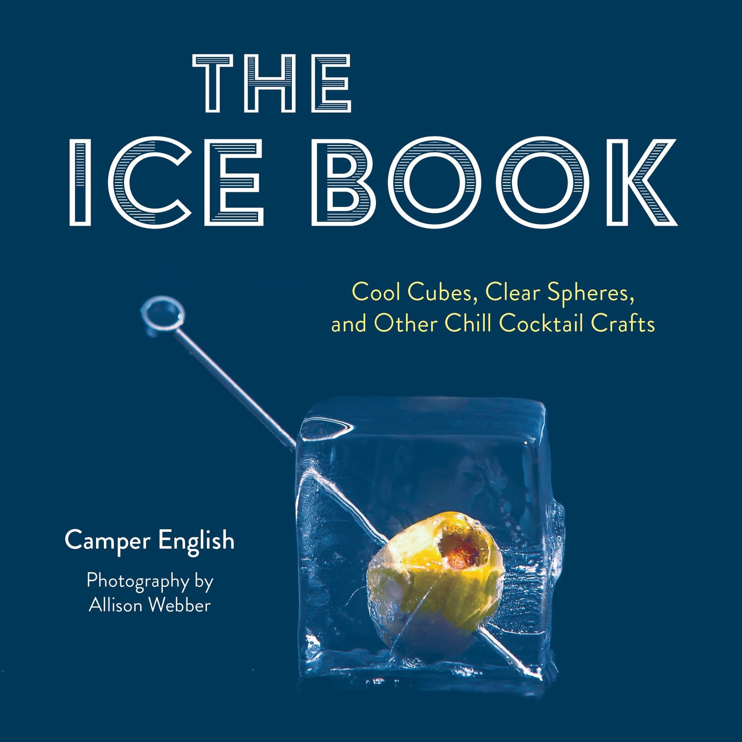 The Ice Book: How to Best Make, Store & Serve Ice | Alcohol Professor