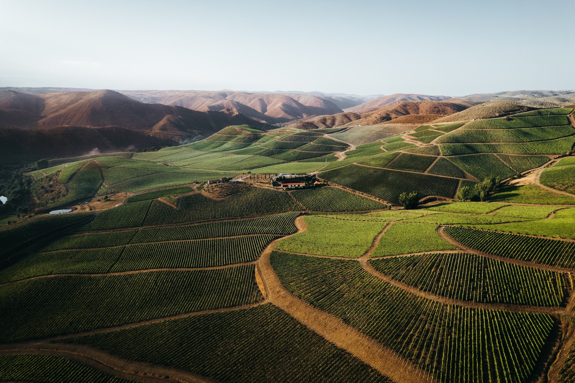 An aerial view of the Ramos Pinto estate