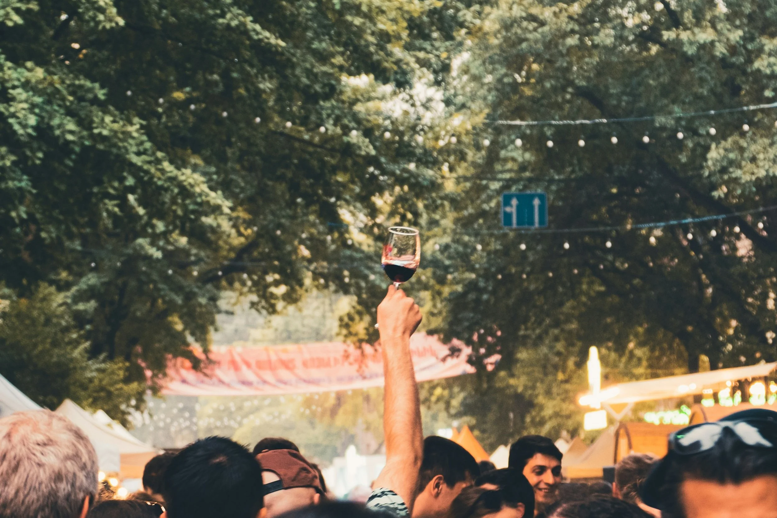 Crowd at Yerevan Wine Days festival